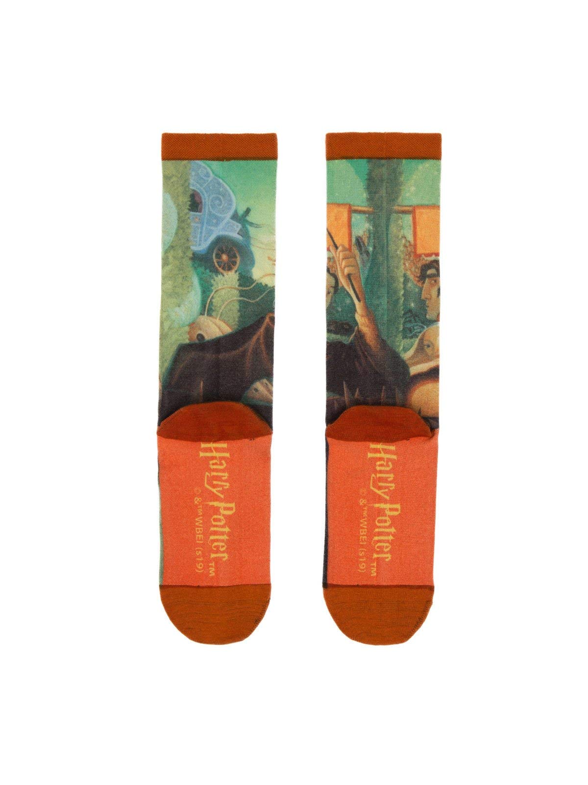 Harry Potter Socks, Unisex