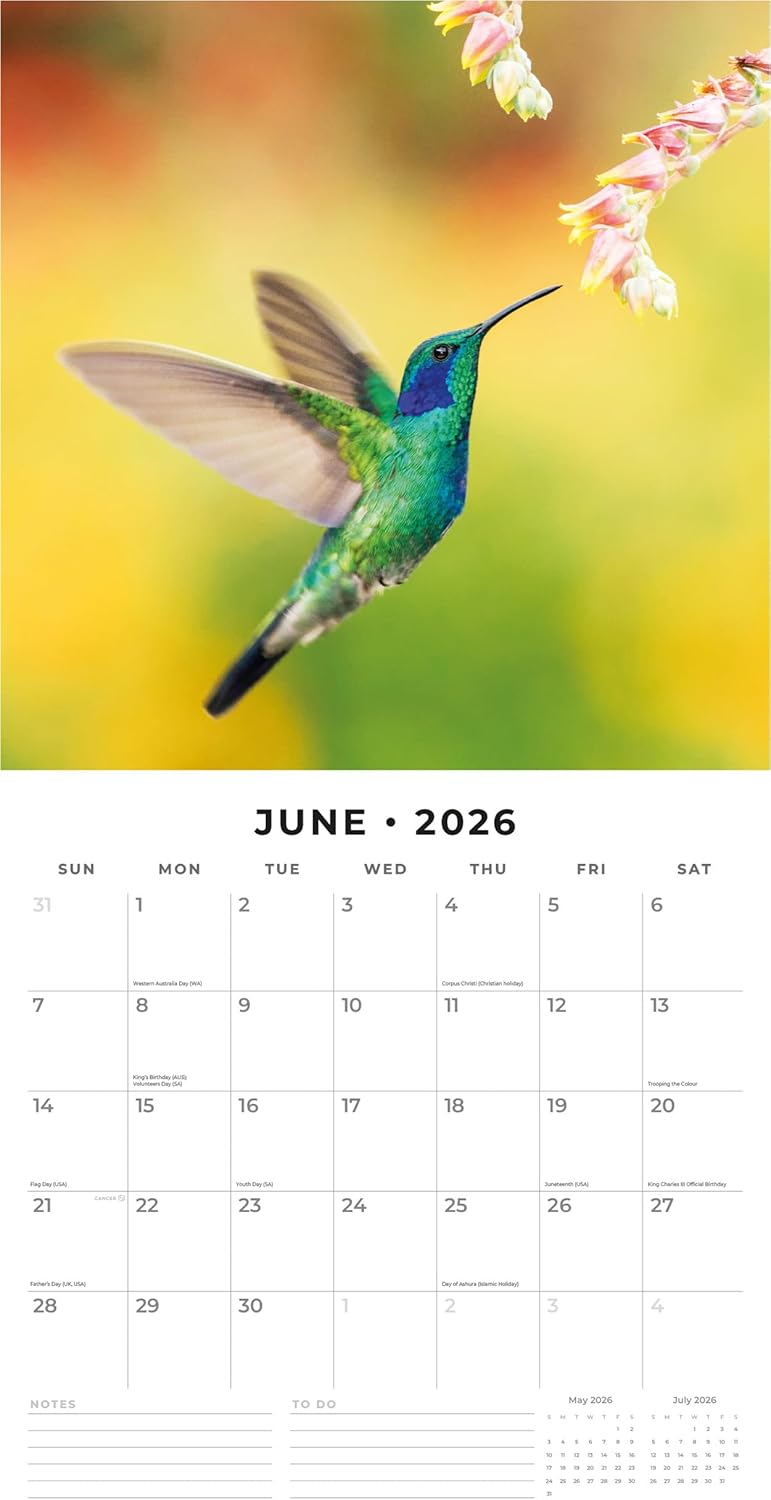 Red Robin 2026 Exotic Birds Monthly Wall Calendar | 12" x 24" Open | Premium Thick & Sturdy Paper | Hangable 12 Month Calendar | Lined Notes & To Do Area | Vivid Images | Plastic Free