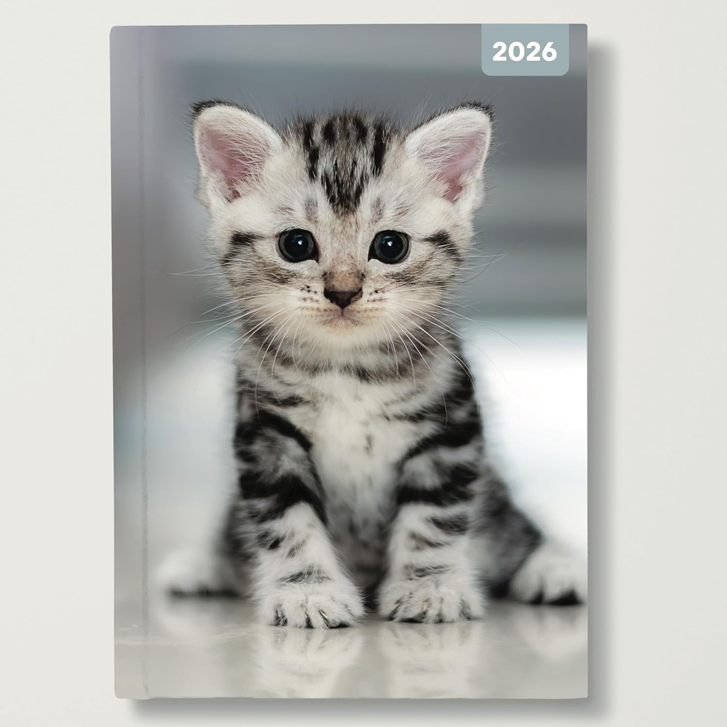 Red Robin 2026 Cute Kittens Weekly Planner, A5 Padded 8 1/2" x 6" | Premium Thick & Sturdy Paper | Full Week View | Plastic Free