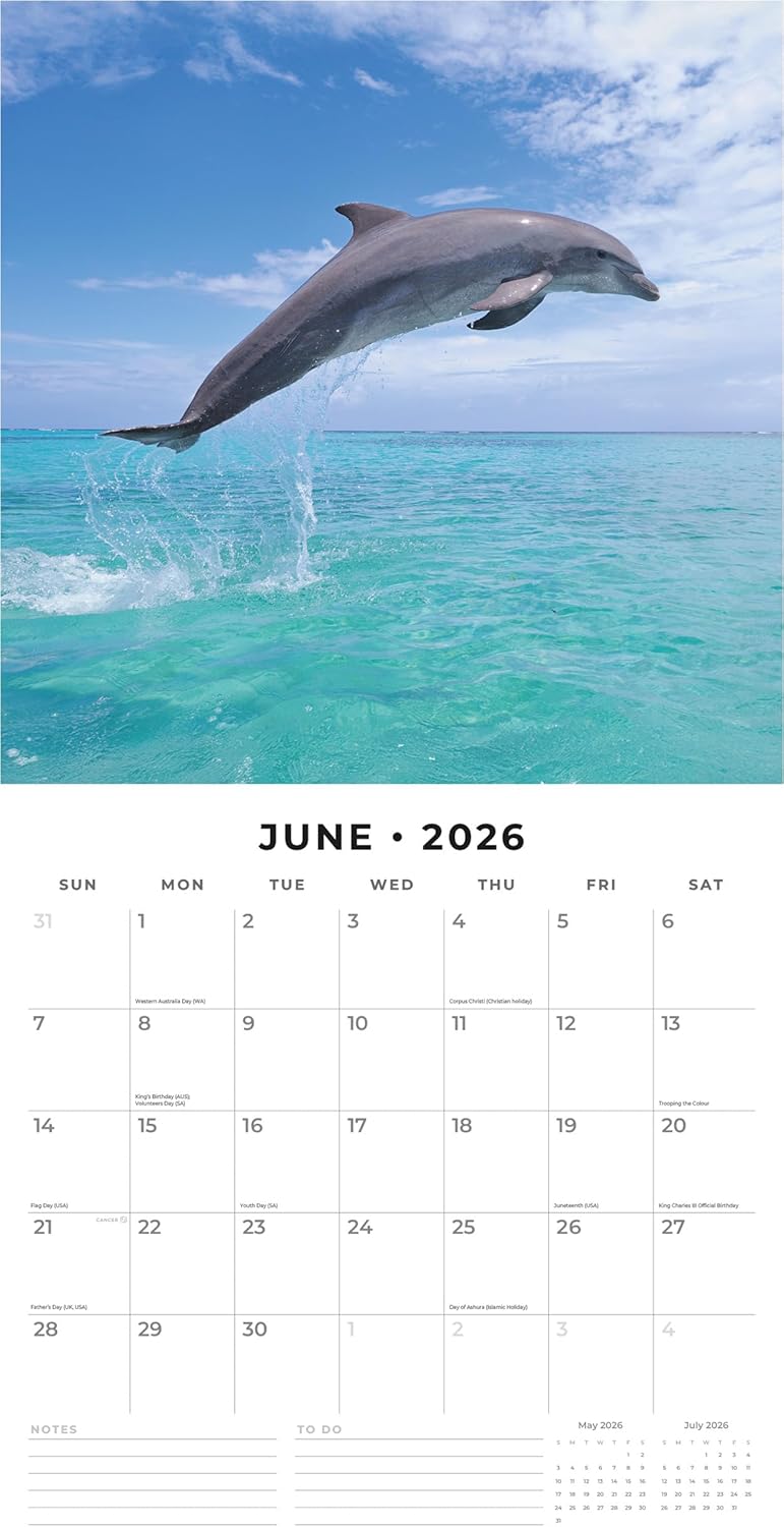 Red Robin 2026 Dolphins Monthly Wall Calendar | 12" x 24" Open | Premium Thick & Sturdy Paper | Hangable 12 Month Calendar | Lined Notes & To Do Area | Vivid Images | Plastic Free