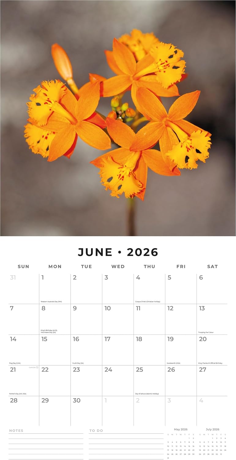 Red Robin 2026 Orchids Monthly Wall Calendar | 12" x 24" Open | Premium Thick & Sturdy Paper | Hangable 12 Month Calendar | Lined Notes & To Do Area | Vivid Images | Plastic Free
