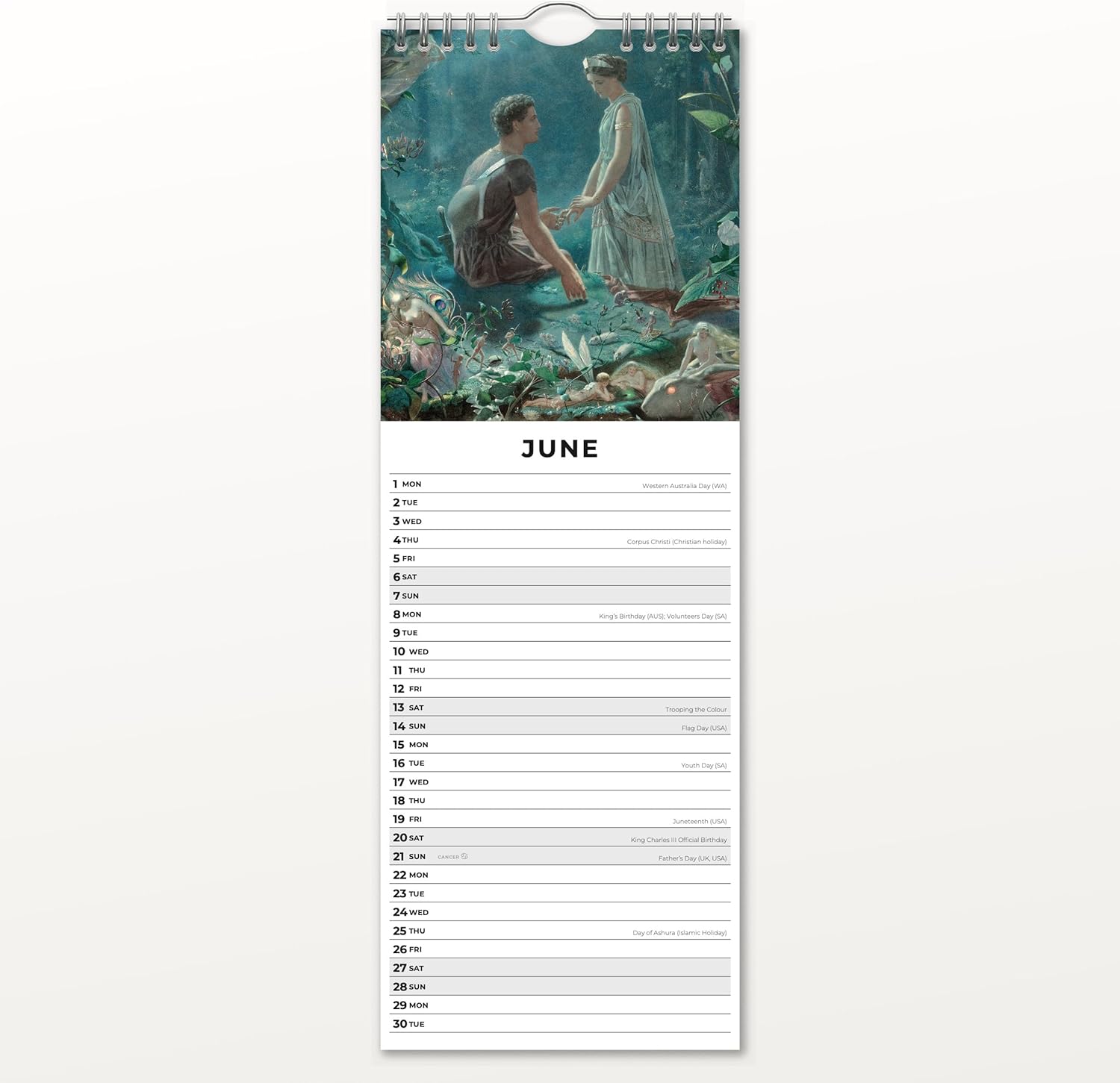 Red Robin 2026 Fairies Monthly Slim Calendar | 6" x 16" Open | Premium Thick & Sturdy Paper | Tall Hangable 12 Month Calendar | Vivid Images | Plastic Free | Wire Spiral