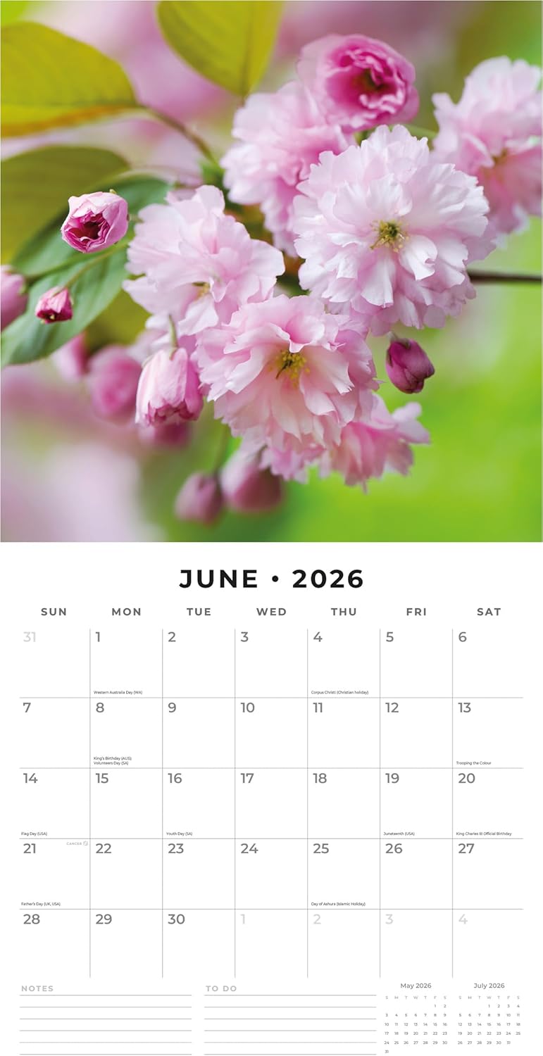 Red Robin 2026 Cherry Blossom Monthly Wall Calendar | 12" x 24" Open | Premium Thick & Sturdy Paper | Hangable 12 Month Calendar | Lined Notes & To Do Area | Vivid Images | Plastic Free