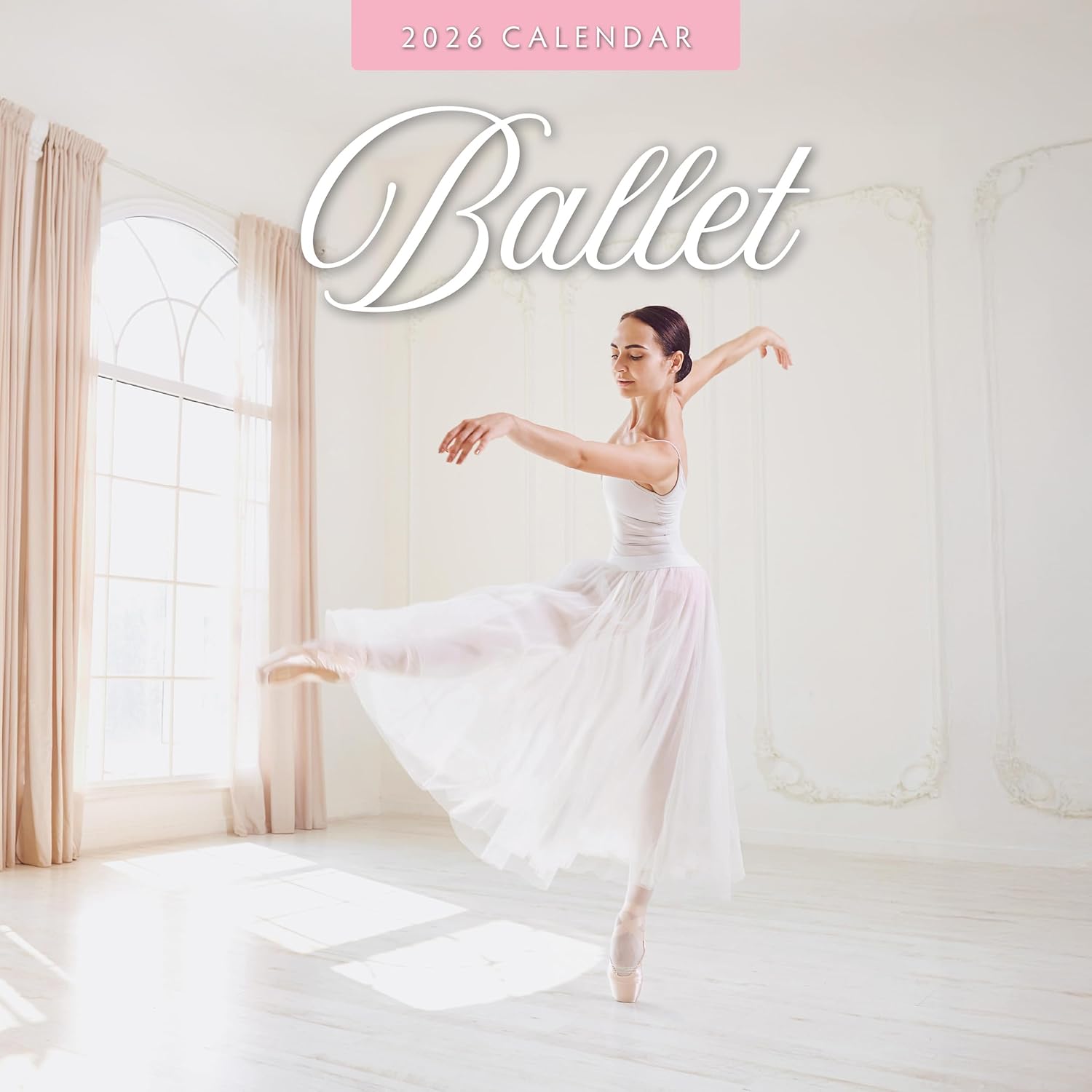 Red Robin 2026 Ballet Monthly Wall Calendar | 12" x 24" Open | Premium Thick & Sturdy Paper | Hangable 12 Month Calendar | Lined Notes & To Do Area | Vivid Images | Plastic Free