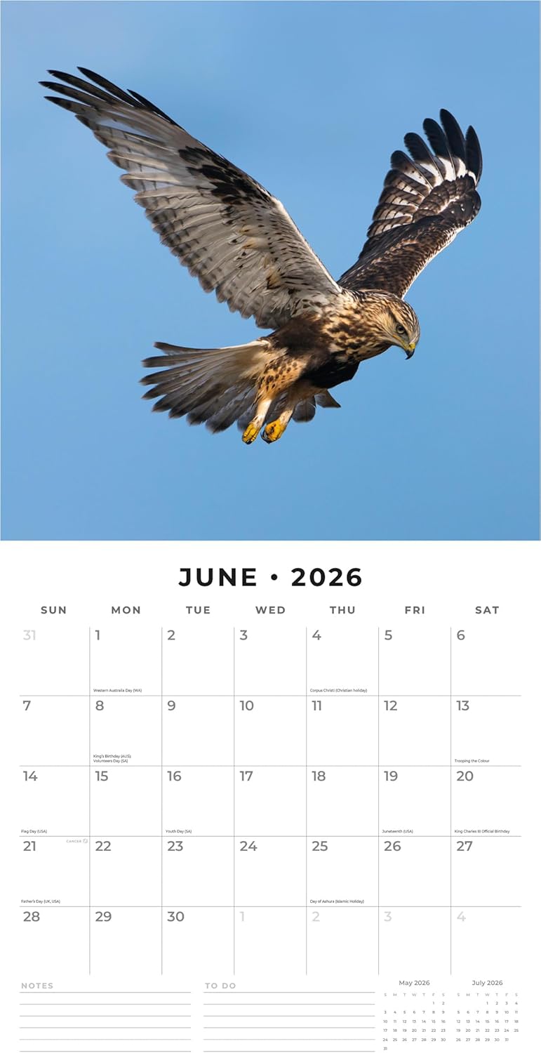 Birds Of Prey - 2026 Square Wall Calendar - by Red Robin Publishing