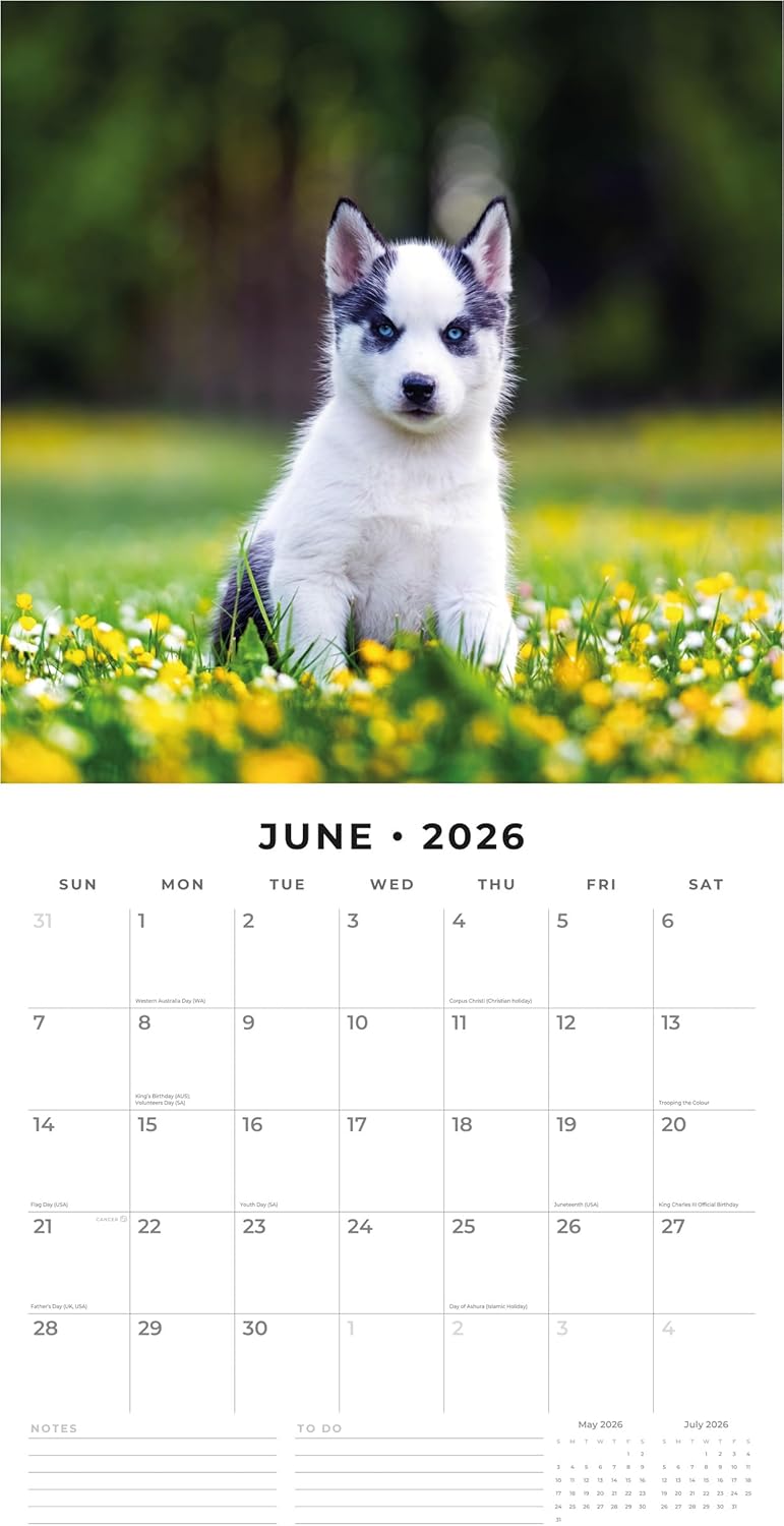 Red Robin 2026 Siberian Huskies Monthly Wall Calendar | 12" x 24" Open | Premium Thick & Sturdy Paper | Hangable 12 Month Calendar | Lined Notes & To Do Area | Vivid Images | Plastic Free
