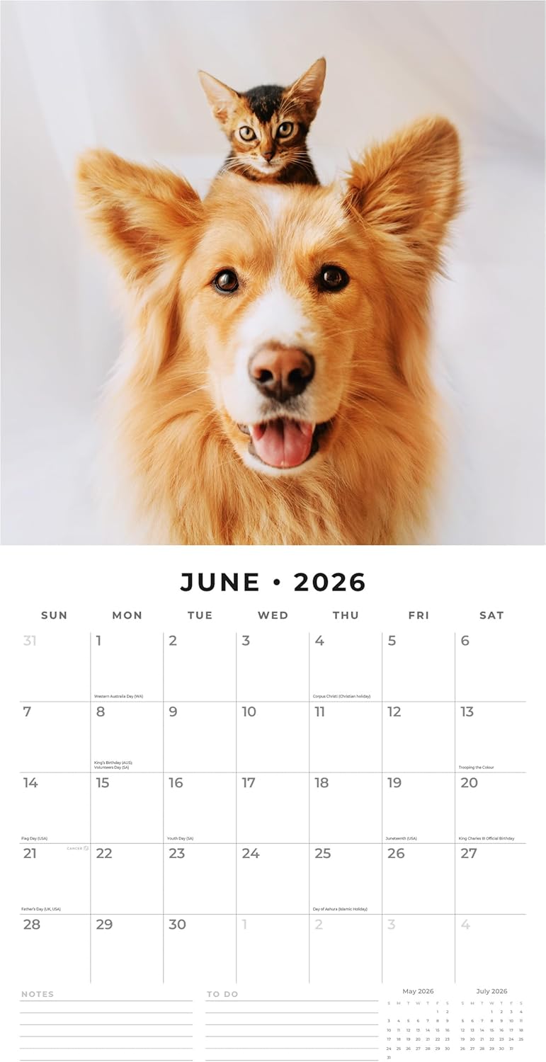 Cats & Dogs - 2026 Square Wall Calendar - by Red Robin Publishing