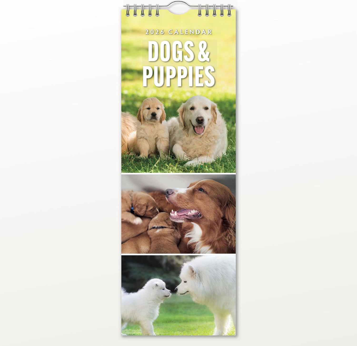 Red Robin 2026 Dogs & Puppies Monthly Slim Calendar | 6" x 16" Open | Premium Thick & Sturdy Paper | Tall Hangable 12 Month Calendar | Vivid Images | Plastic Free | Wire Spiral