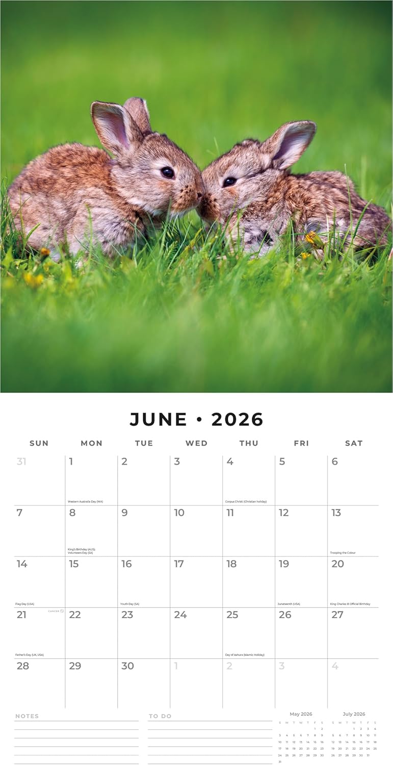 Red Robin 2026 Rabbits Monthly Wall Calendar | 12" x 24" Open | Premium Thick & Sturdy Paper | Hangable 12 Month Calendar | Lined Notes & To Do Area | Vivid Images | Plastic Free