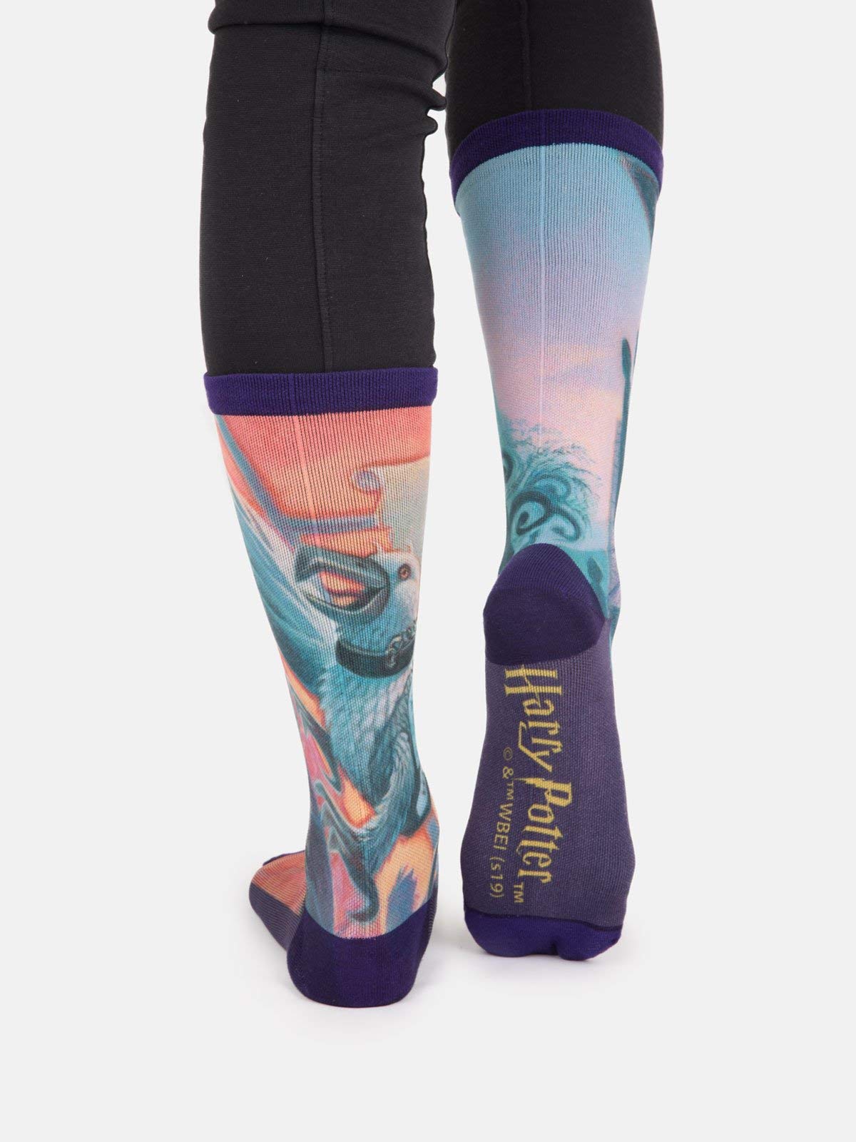 Harry Potter Socks, Unisex