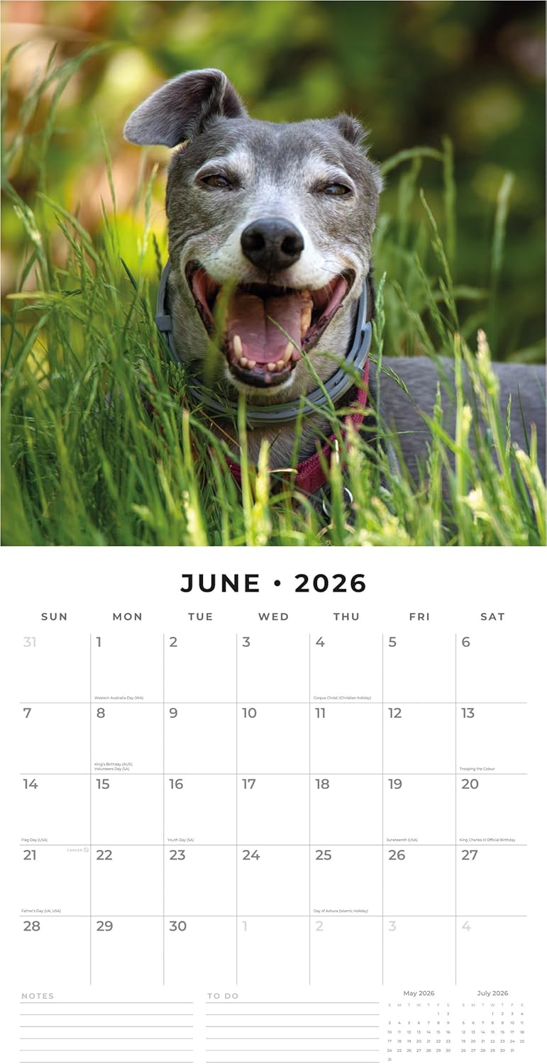 Red Robin 2026 Greyhounds Monthly Wall Calendar | 12" x 24" Open | Premium Thick & Sturdy Paper | Hangable 12 Month Calendar | Lined Notes & To Do Area | Vivid Images | Plastic Free