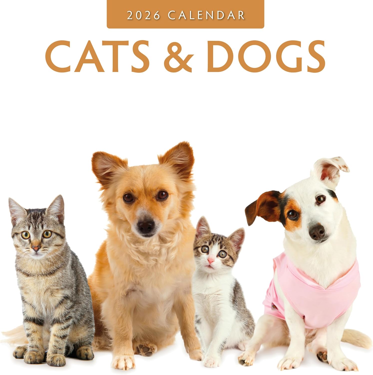 Cats & Dogs - 2026 Square Wall Calendar - by Red Robin Publishing