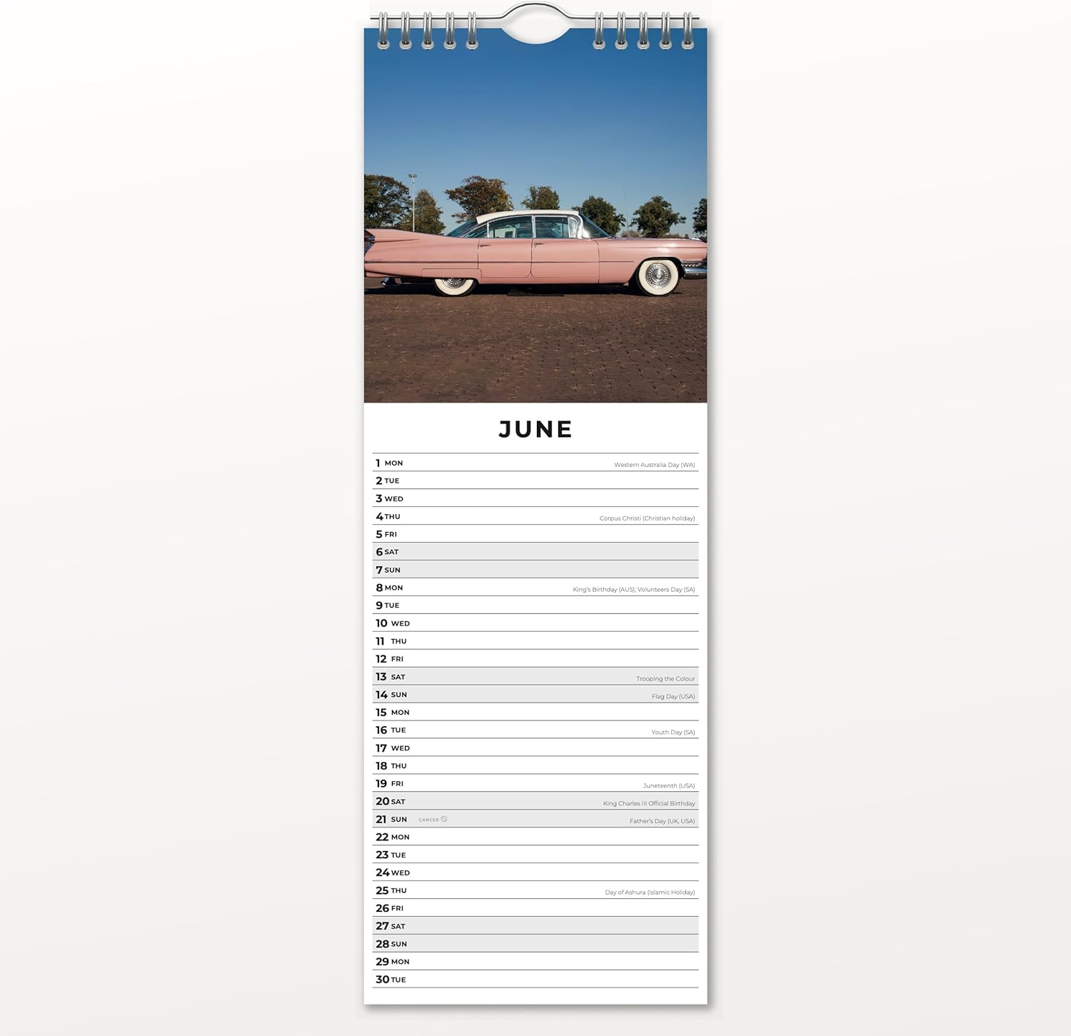 Red Robin 2026 American Classics Monthly Slim Calendar | 6" x 16" Open | Premium Thick & Sturdy Paper | Tall Hangable 12 Month Calendar | Vivid Images | Plastic Free | Wire Spiral