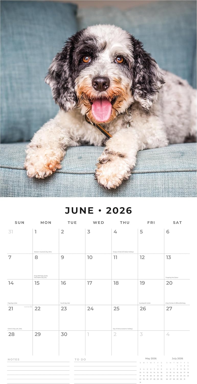 Red Robin 2026 Cockapoos Monthly Wall Calendar | 12" x 24" Open | Premium Thick & Sturdy Paper | Hangable 12 Month Calendar | Lined Notes & To Do Area | Vivid Images | Plastic Free
