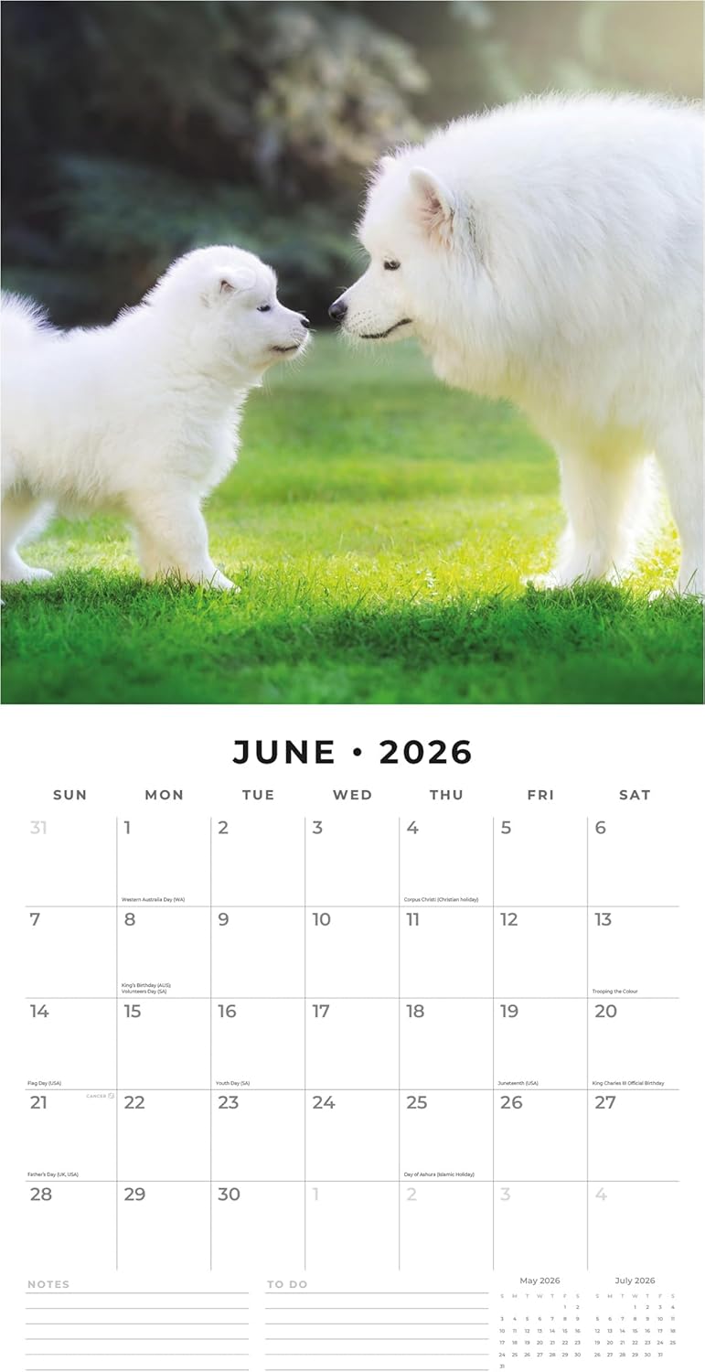 Red Robin 2026 Dogs & Puppies Monthly Wall Calendar | 12" x 24" Open | Premium Thick & Sturdy Paper | Hangable 12 Month Calendar | Lined Notes & To Do Area | Vivid Images | Plastic Free
