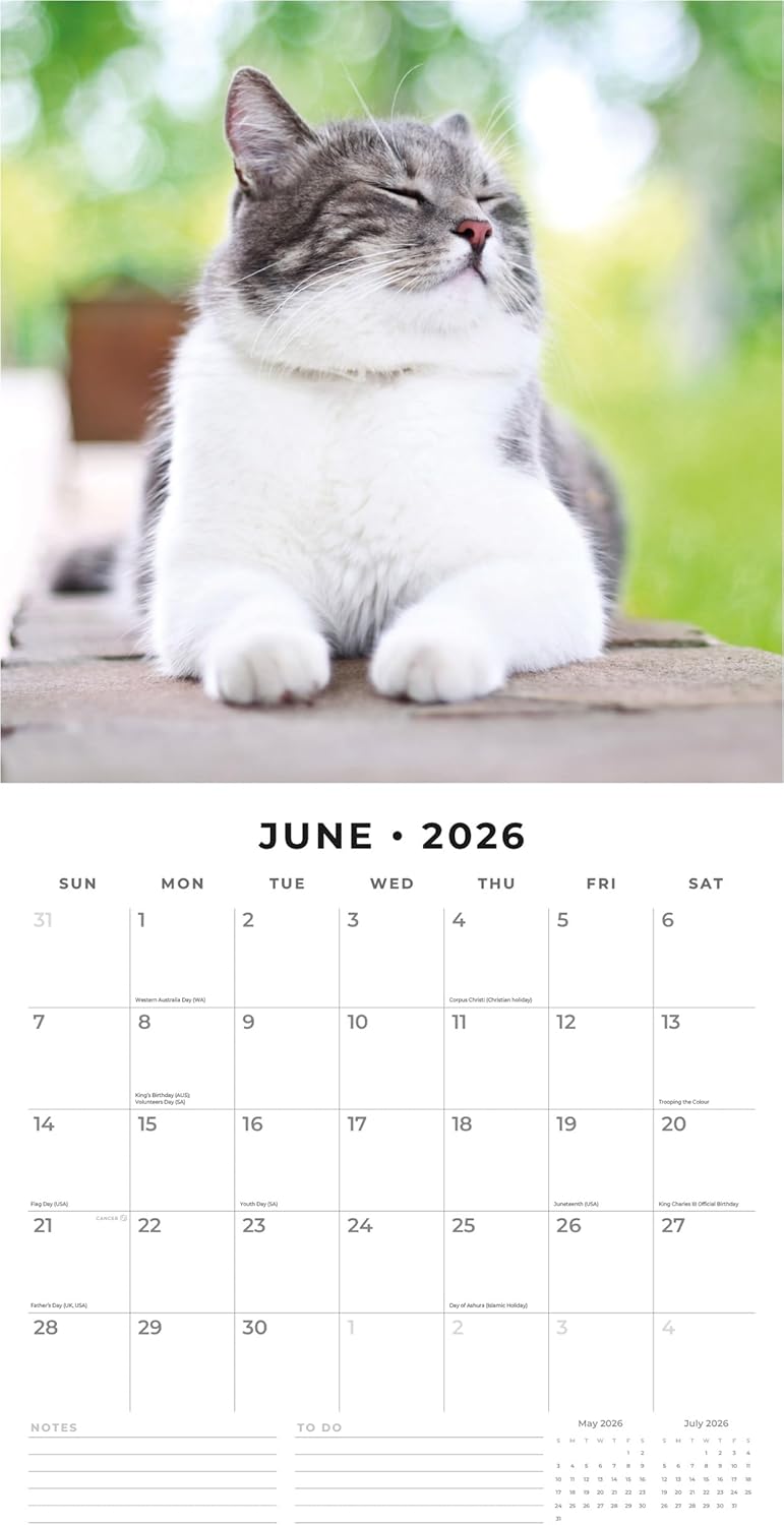 Adorable Cats - 2026 Square Wall Calendar - by Red Robin Publishing