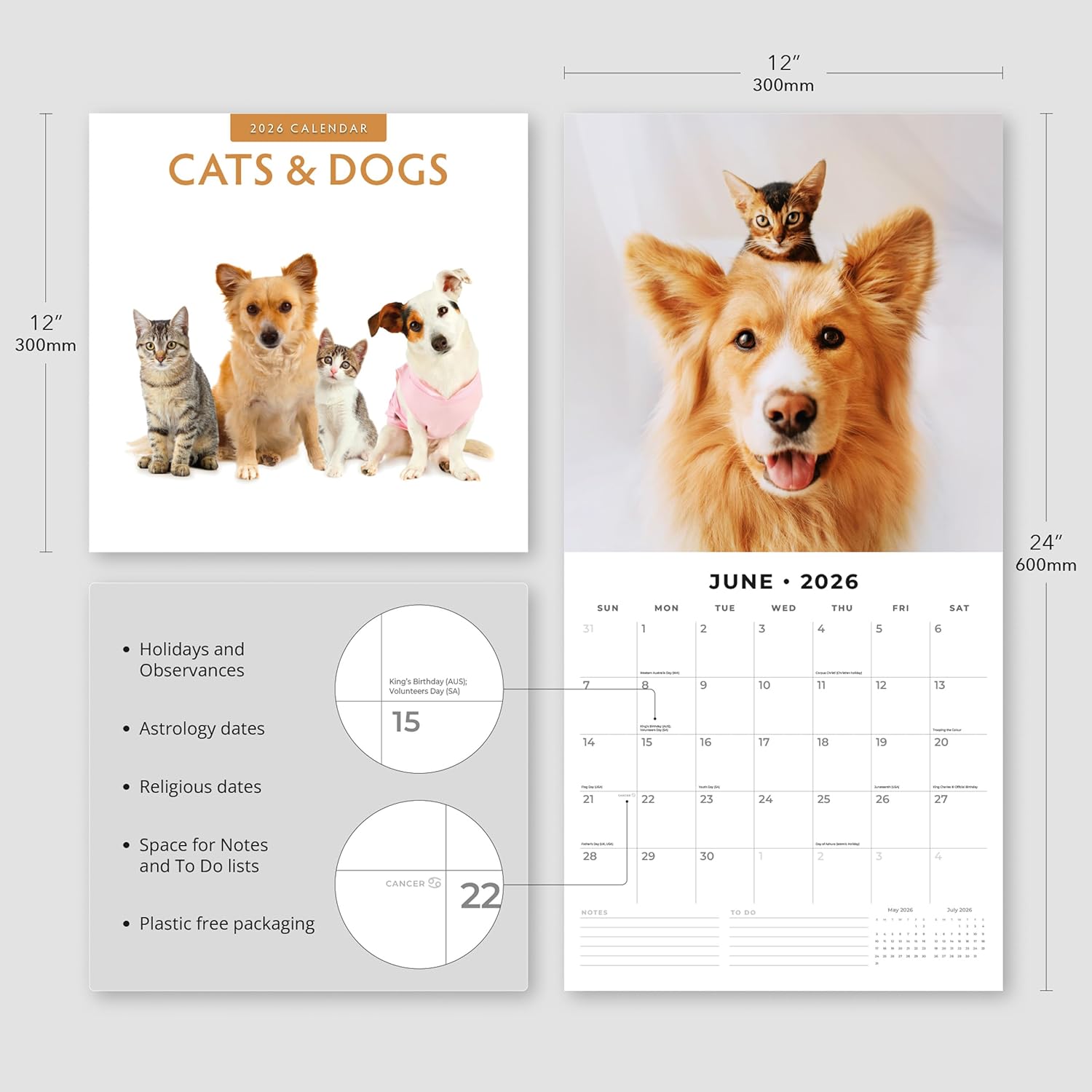 Cats & Dogs - 2026 Square Wall Calendar - by Red Robin Publishing