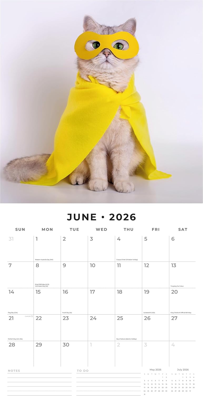 Red Robin 2026 Funny Cats Monthly Wall Calendar | 12" x 24" Open | Premium Thick & Sturdy Paper | Hangable 12 Month Calendar | Lined Notes & To Do Area | Vivid Images | Plastic Free