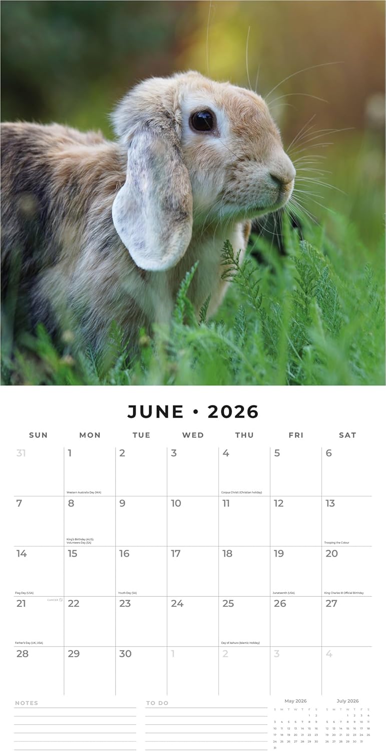 Red Robin 2026 Long Eared Rabbits Monthly Wall Calendar | 12" x 24" Open | Premium Thick & Sturdy Paper | Hangable 12 Month Calendar | Lined Notes & To Do Area | Vivid Images | Plastic Free