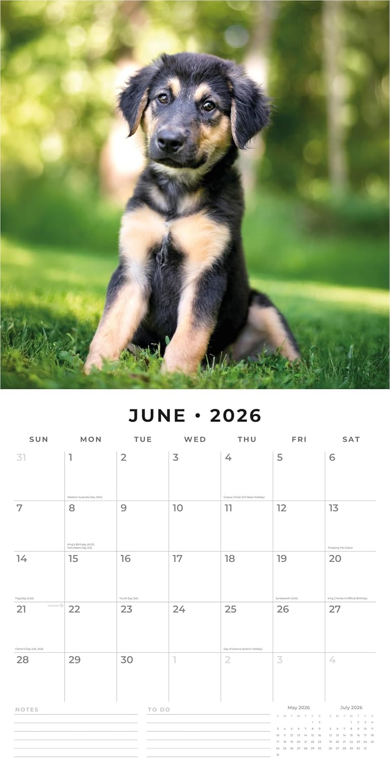 Red Robin 2026 German Shepherd Puppies Monthly Wall Calendar | 12" x 24" Open | Premium Thick & Sturdy Paper | Hangable 12 Month Calendar | Lined Notes & To Do Area | Vivid Images | Plastic Free