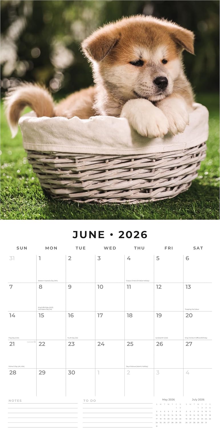 Red Robin 2026 Akitas Monthly Wall Calendar | 12" x 24" Open | Premium Thick & Sturdy Paper | Hangable 12 Month Calendar | Lined Notes & To Do Area | Vivid Images | Plastic Free