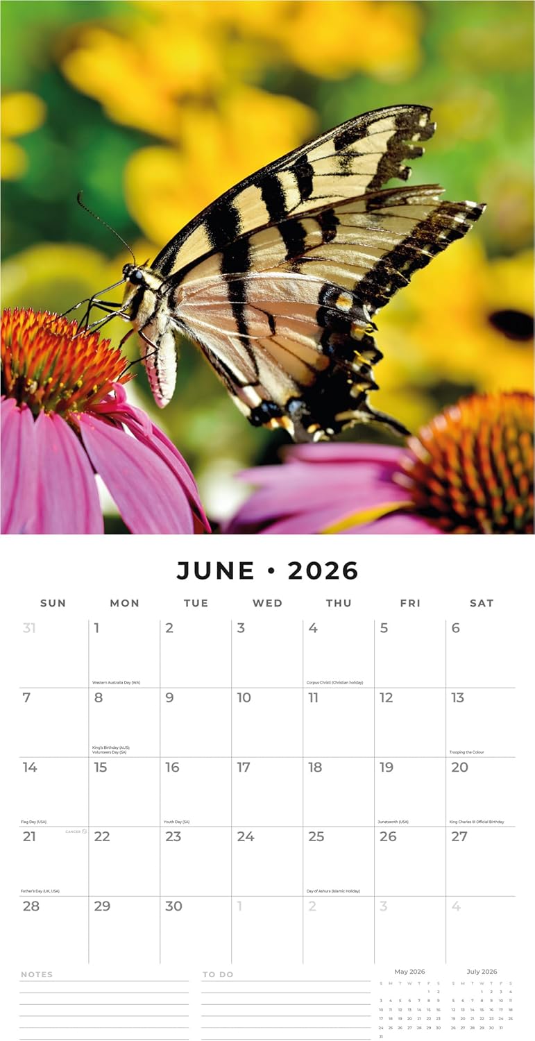 Butterflies - 2026 Square Wall Calendar - by Red Robin Publishing