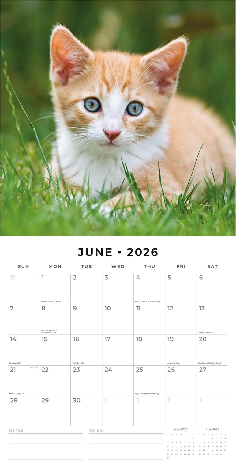 Red Robin 2026 Ginger Cats Monthly Wall Calendar | 12" x 24" Open | Premium Thick & Sturdy Paper | Hangable 12 Month Calendar | Lined Notes & To Do Area | Vivid Images | Plastic Free