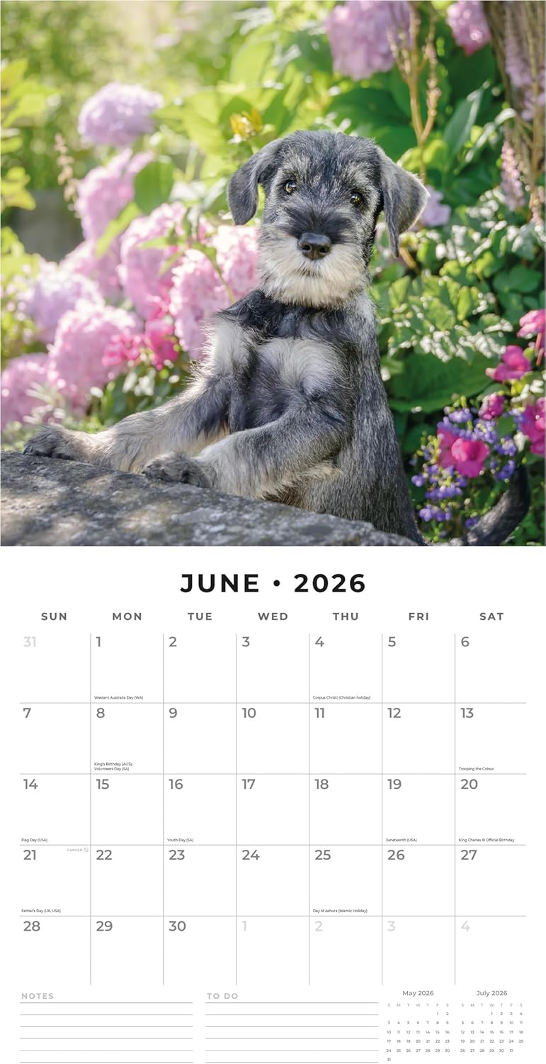 Adorable Dogs - 2026 Square Wall Calendar - by Red Robin Publishing