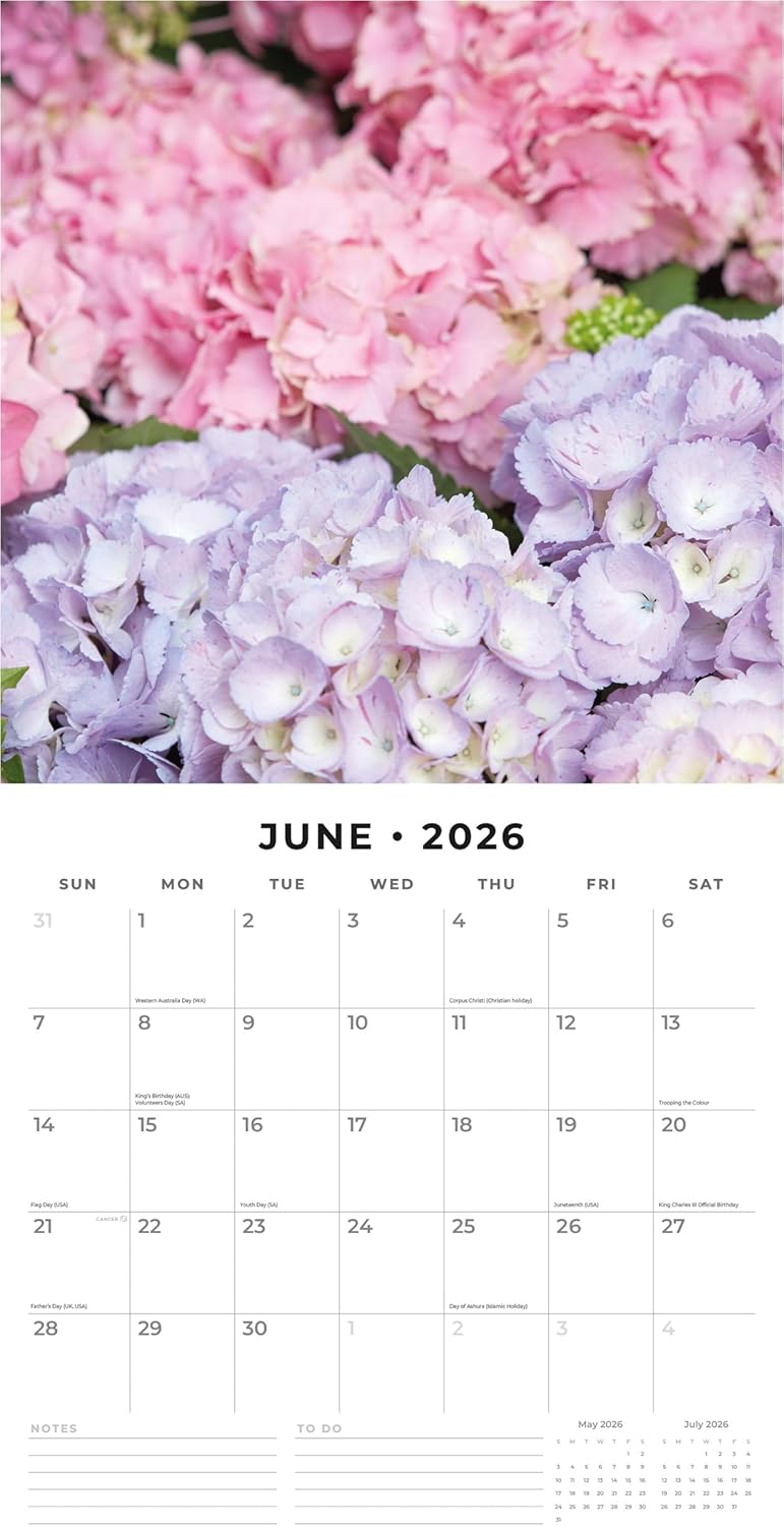 Red Robin 2026 Year in Bloom Monthly Wall Calendar | 12" x 24" Open | Premium Thick & Sturdy Paper | Hangable 12 Month Calendar | Lined Notes & To Do Area | Vivid Images | Plastic Free