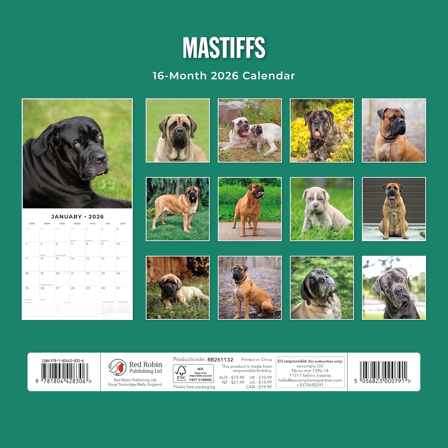 Red Robin 2026 Mastiffs Monthly Wall Calendar | 12" x 24" Open | Premium Thick & Sturdy Paper | Hangable 12 Month Calendar | Lined Notes & To Do Area | Vivid Images | Plastic Free
