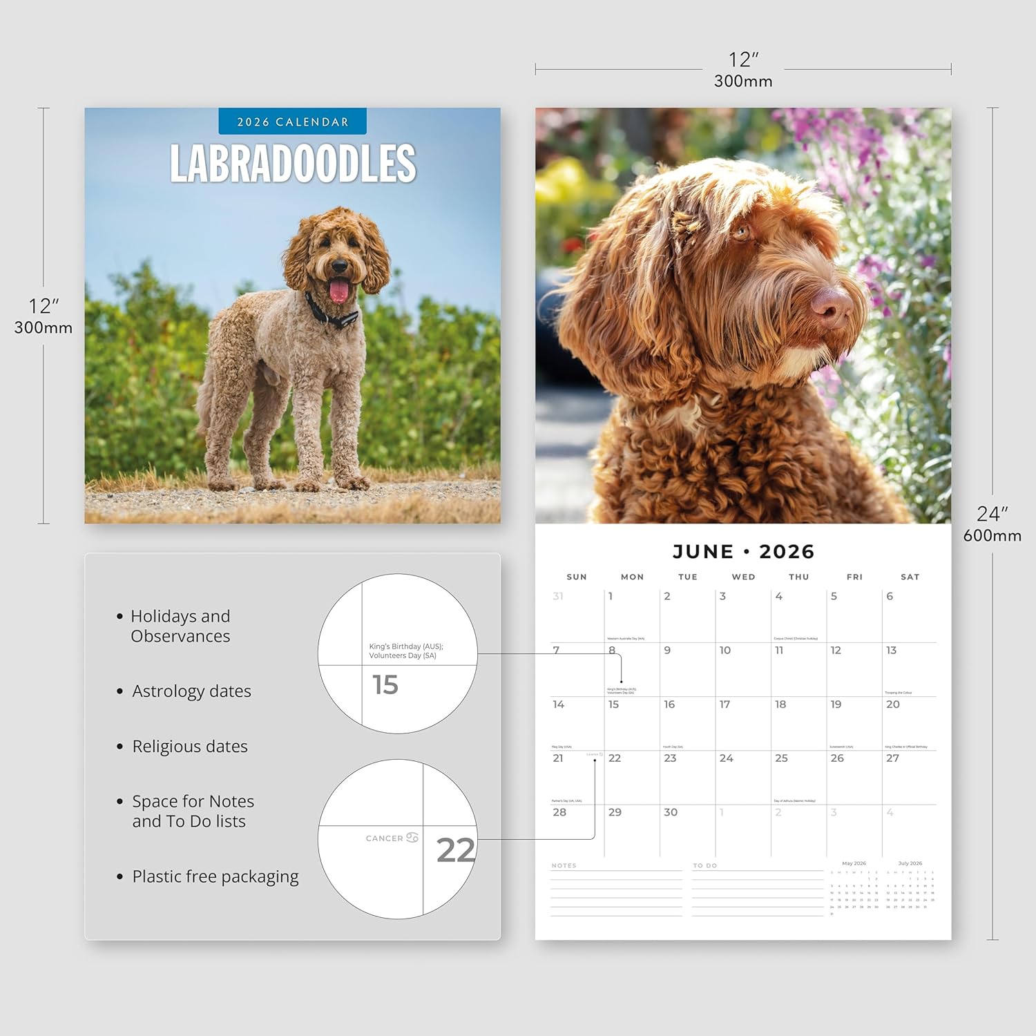 Red Robin 2026 Labradoodles Monthly Wall Calendar | 12" x 24" Open | Premium Thick & Sturdy Paper | Hangable 12 Month Calendar | Lined Notes & To Do Area | Vivid Images | Plastic Free