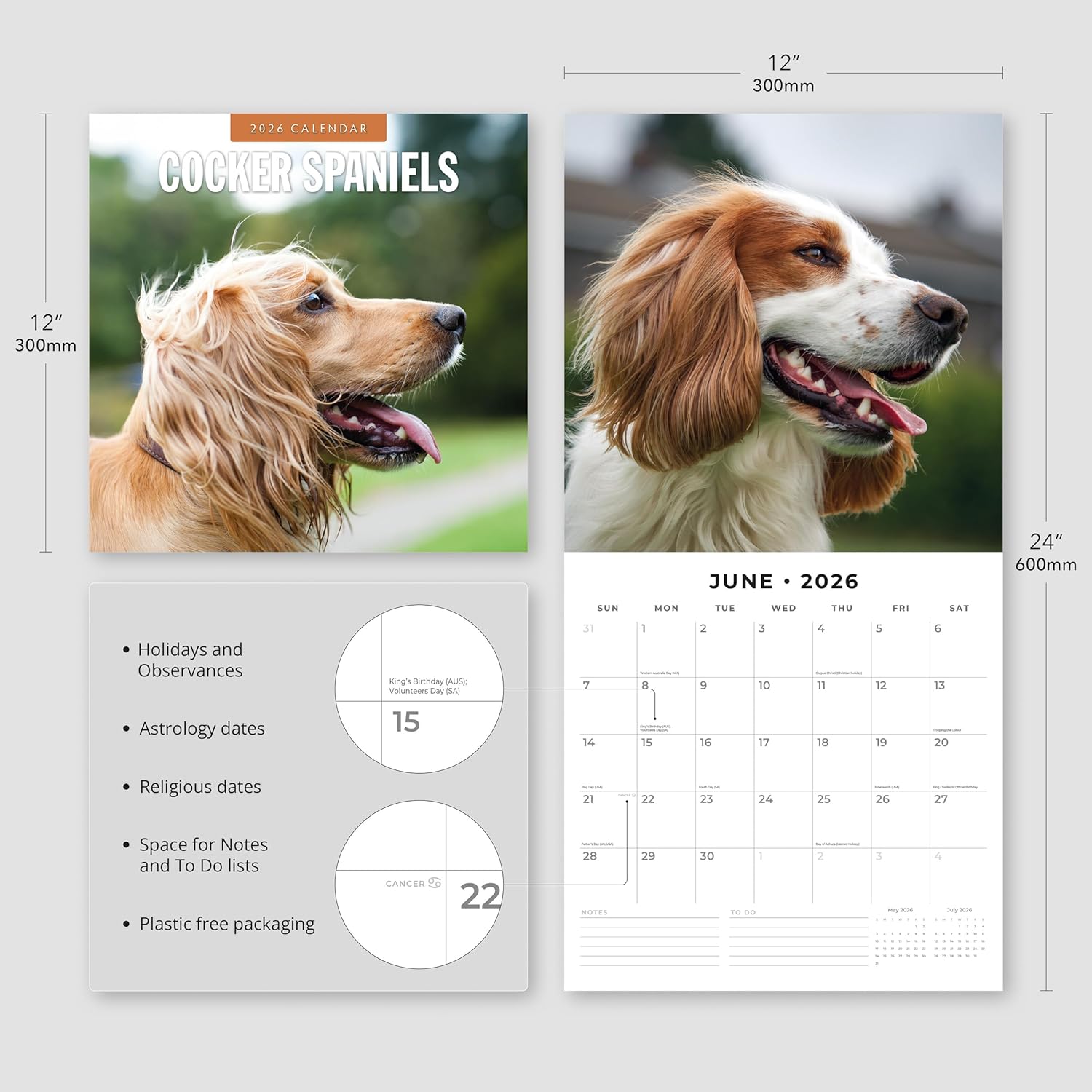 Red Robin 2026 Cocker Spaniels Monthly Wall Calendar | 12" x 24" Open | Premium Thick & Sturdy Paper | Hangable 12 Month Calendar | Lined Notes & To Do Area | Vivid Images | Plastic Free