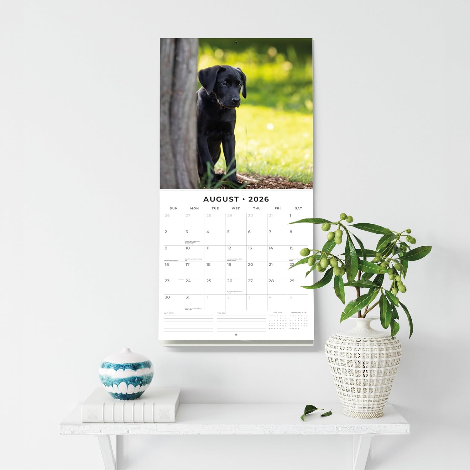 Red Robin 2026 Black Labrador Retriever Puppies Monthly Wall Calendar | 12" x 24" Open | Premium Thick & Sturdy Paper | Hangable 12 Month Calendar | Lined Notes & To Do Area | Plastic Free