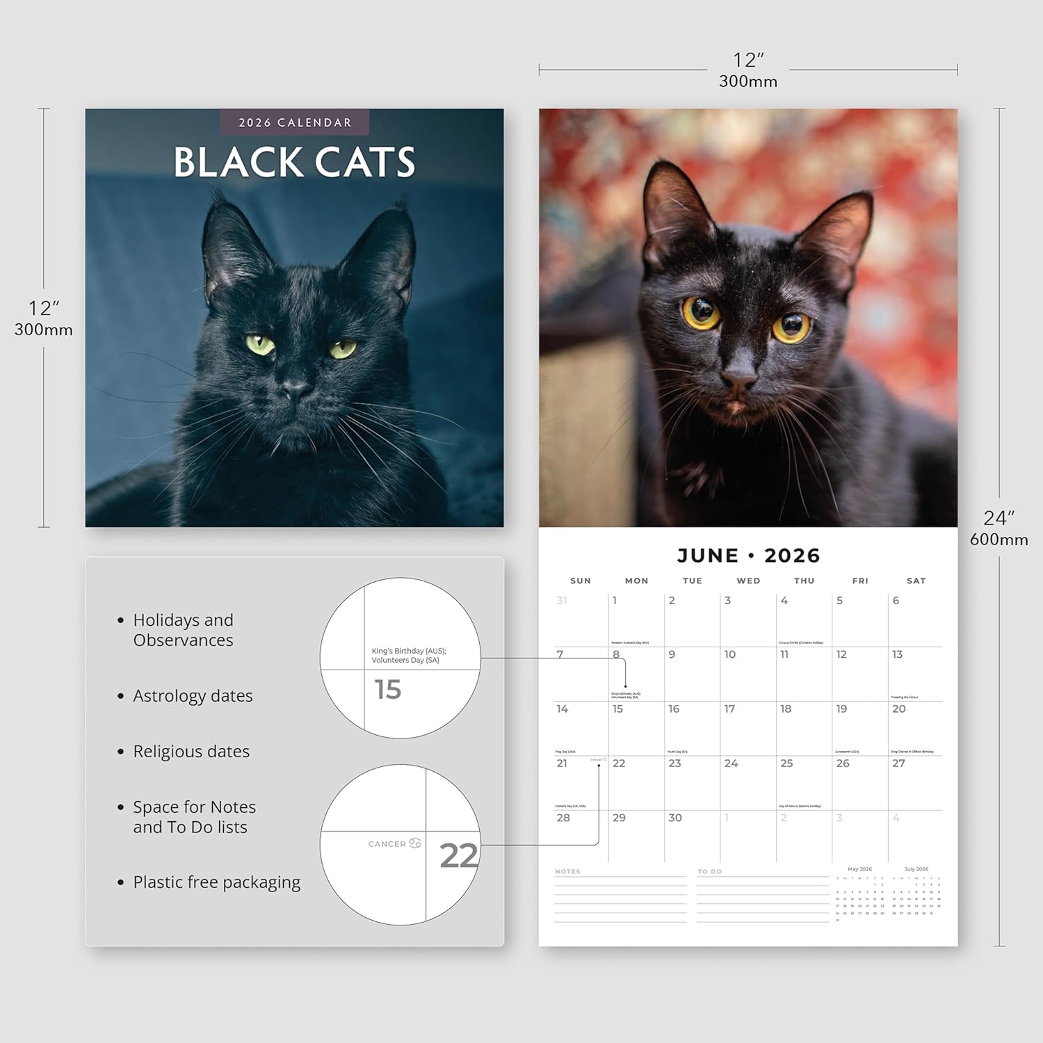 Black Cats - 2026 Square Wall Calendar - by Red Robin Publishing