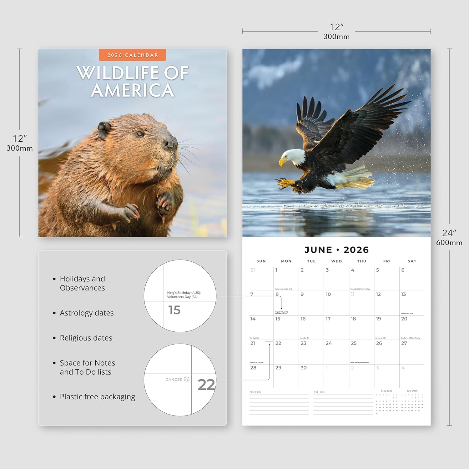 Red Robin 2026 Wildlife of America Monthly Wall Calendar | 12" x 24" Open | Premium Thick & Sturdy Paper | Hangable 12 Month Calendar | Lined Notes & To Do Area | Vivid Images | Plastic Free