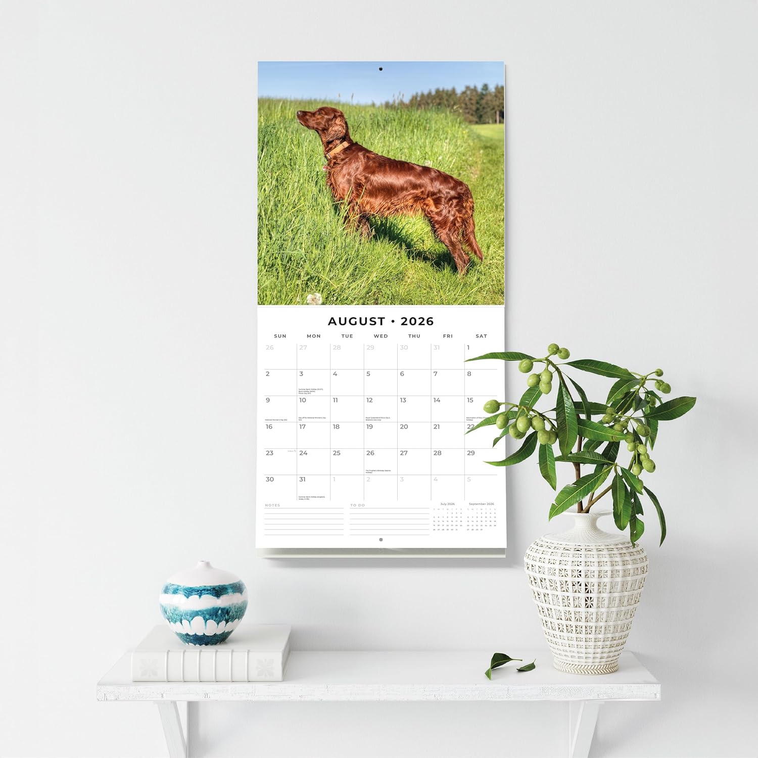 Red Robin 2026 Irish Setters Monthly Wall Calendar | 12" x 24" Open | Premium Thick & Sturdy Paper | Hangable 12 Month Calendar | Lined Notes & To Do Area | Vivid Images | Plastic Free