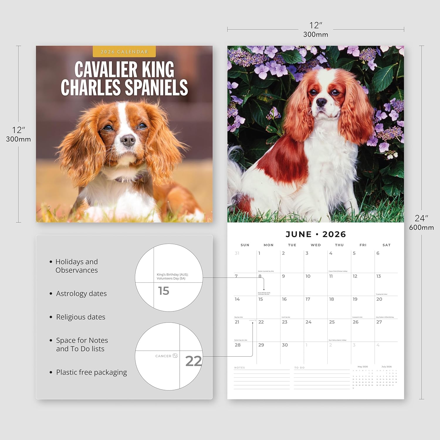 Red Robin 2026 Cavalier King Charles Spaniels Monthly Wall Calendar | 12" x 24" Open | Premium Thick & Sturdy Paper | Hangable 12 Month Calendar | Lined Notes & To Do Area | Plastic Free