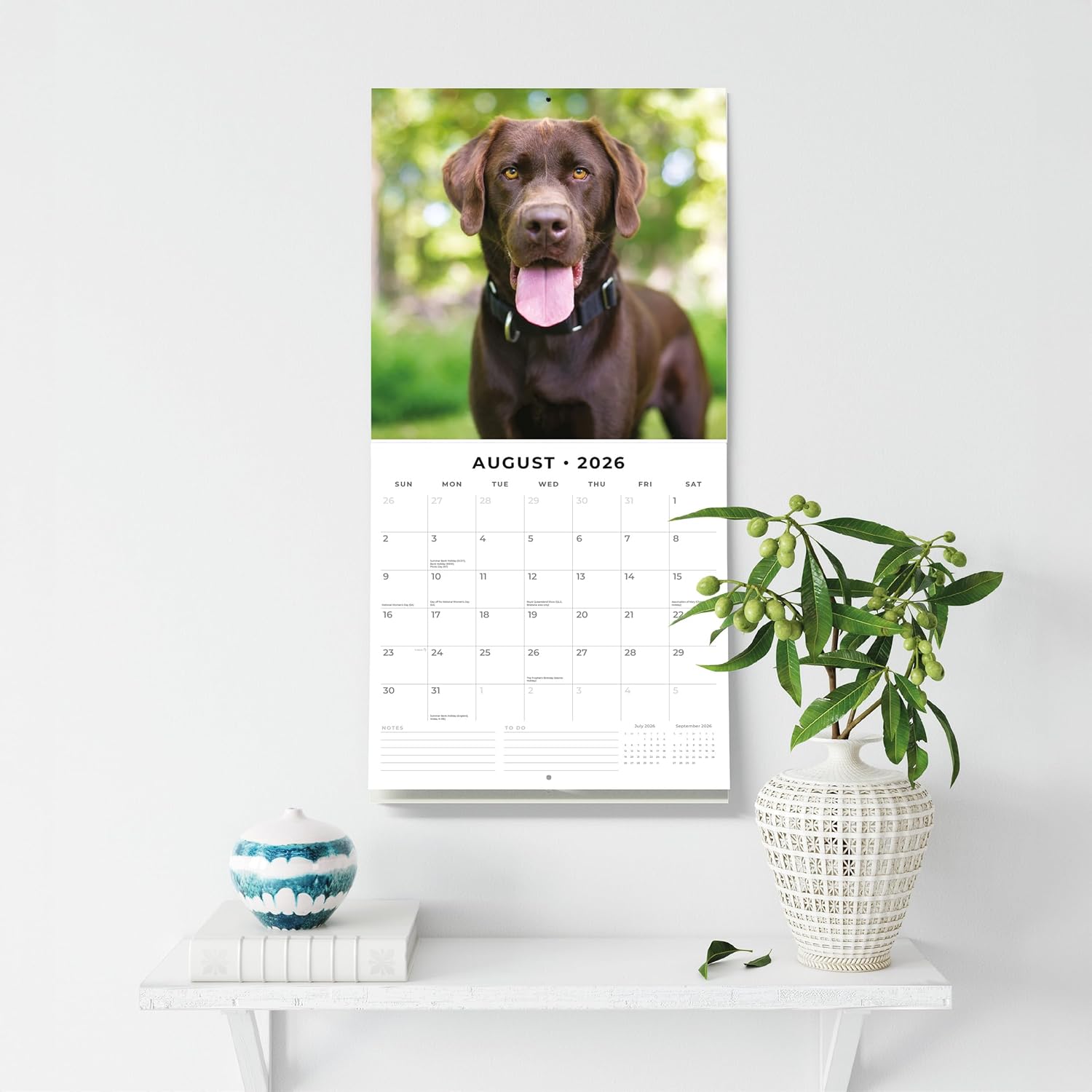 Red Robin 2026 Chocolate Labradors Monthly Wall Calendar | 12" x 24" Open | Premium Thick & Sturdy Paper | Hangable 12 Month Calendar | Lined Notes & To Do Area | Vivid Images | Plastic Free