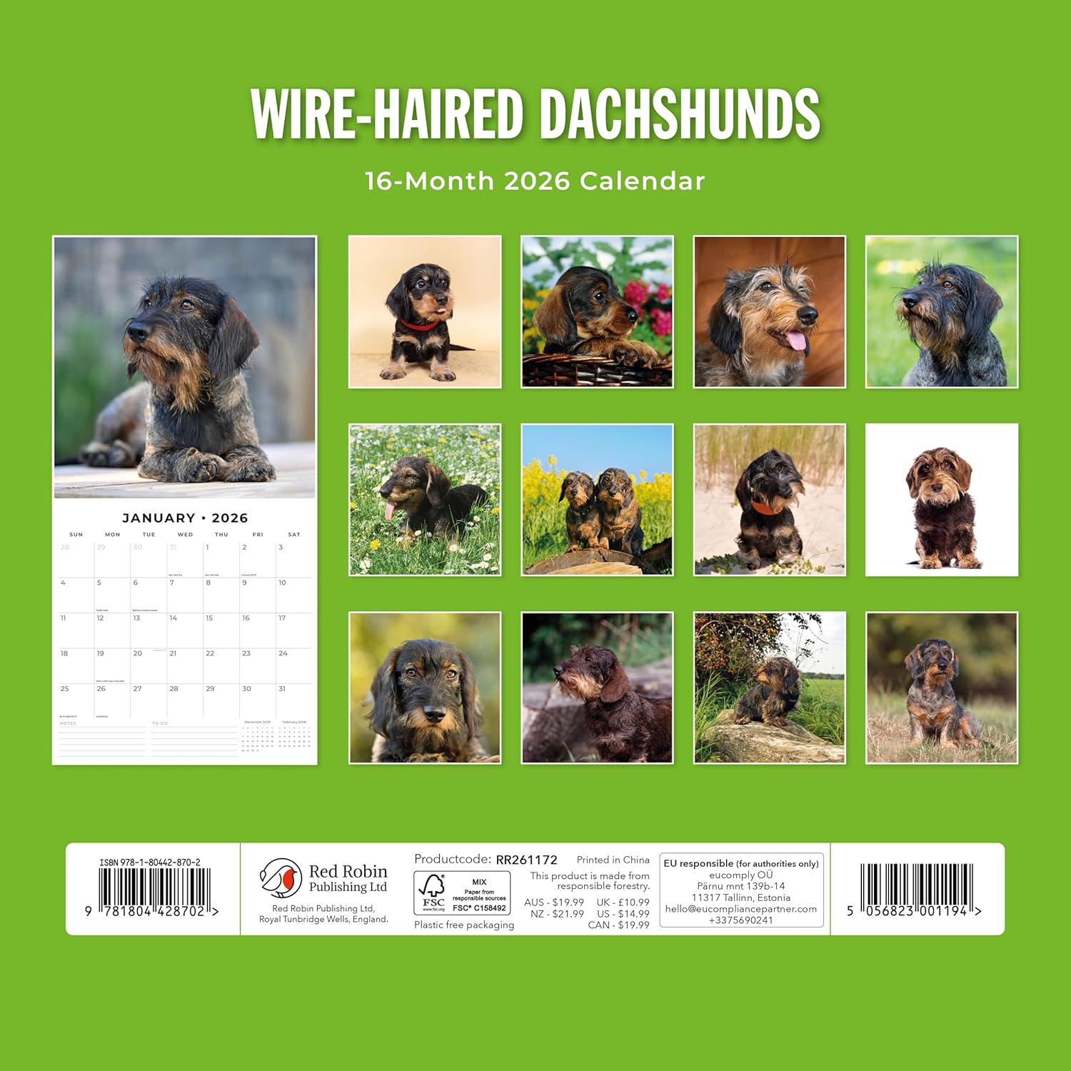 Red Robin 2026 Wire-haired Dachshunds Monthly Wall Calendar | 12" x 24" Open | Premium Thick & Sturdy Paper | Hangable 12 Month Calendar | Lined Notes & To Do Area | Vivid Images | Plastic Free