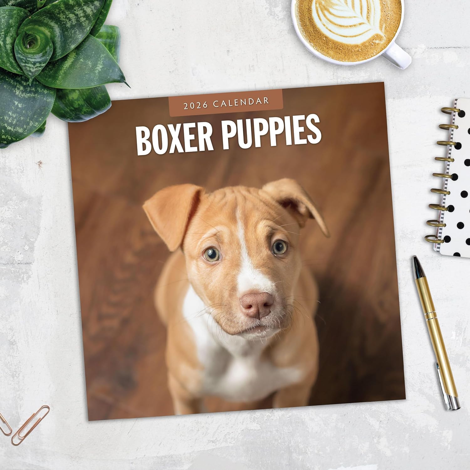 Red Robin 2026 Boxer Puppies Monthly Wall Calendar | 12" x 24" Open | Premium Thick & Sturdy Paper | Hangable 12 Month Calendar | Lined Notes & To Do Area | Vivid Images | Plastic Free