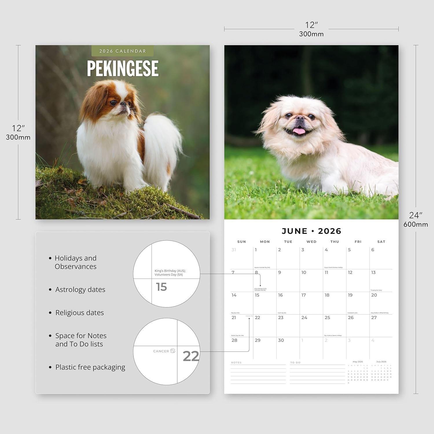 Red Robin 2026 Pekingese Monthly Wall Calendar | 12" x 24" Open | Premium Thick & Sturdy Paper | Hangable 12 Month Calendar | Lined Notes & To Do Area | Vivid Images | Plastic Free