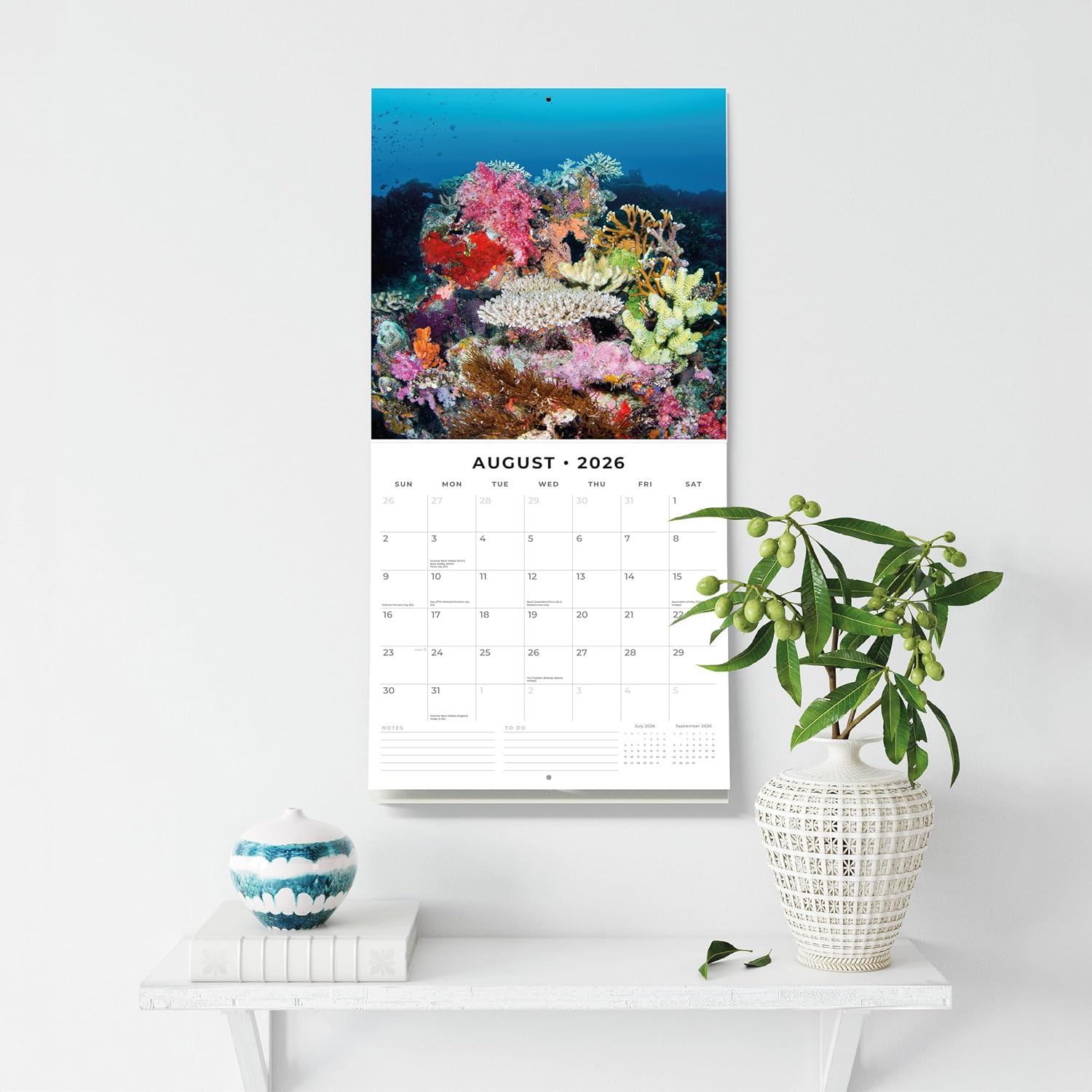 Red Robin 2026 Ocean Life Monthly Wall Calendar | 12" x 24" Open | Premium Thick & Sturdy Paper | Hangable 12 Month Calendar | Lined Notes & To Do Area | Vivid Images | Plastic Free