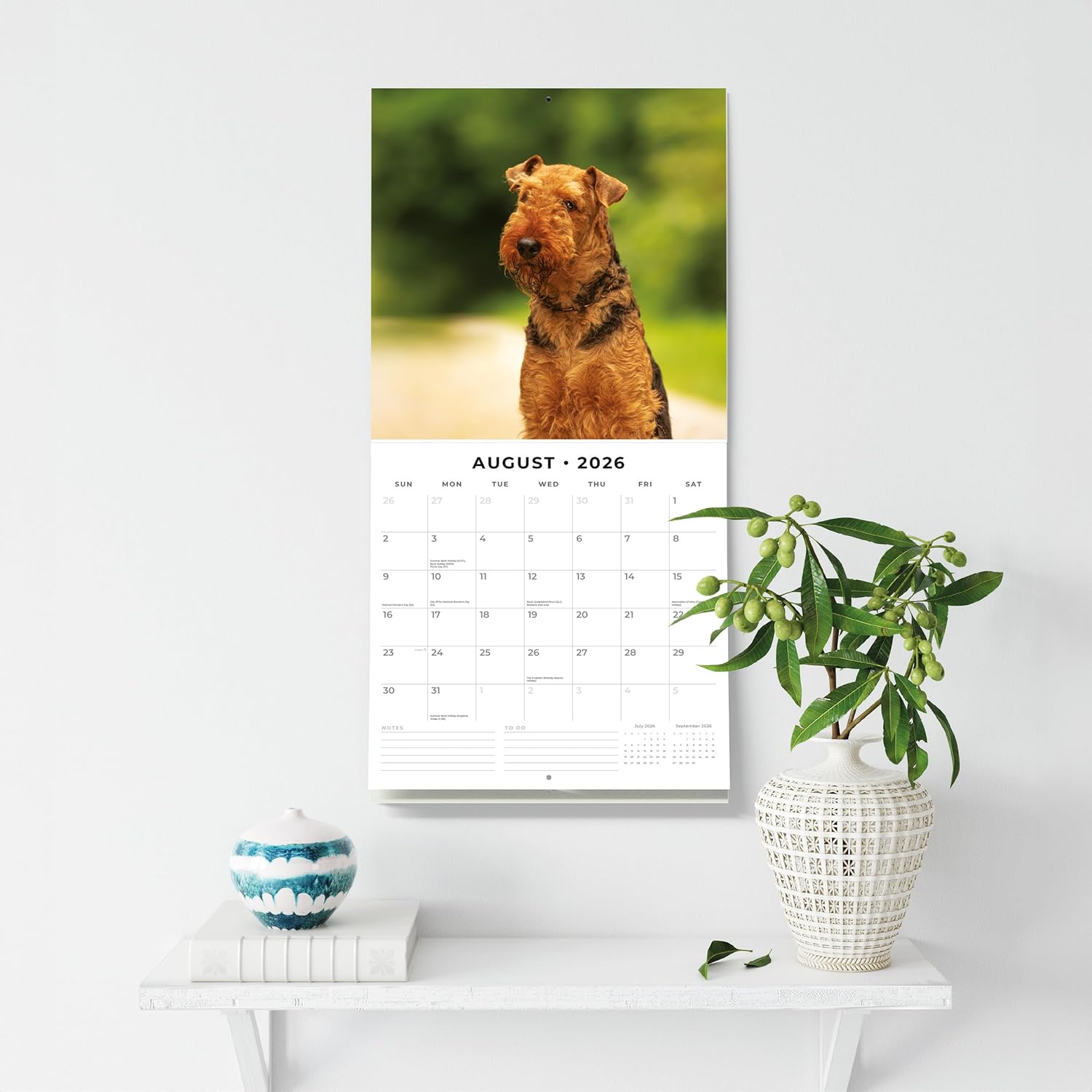 Red Robin 2026 Airedale Terriers Monthly Wall Calendar | 12" x 24" Open | Premium Thick & Sturdy Paper | Hangable 12 Month Calendar | Lined Notes & To Do Area | Vivid Images | Plastic Free