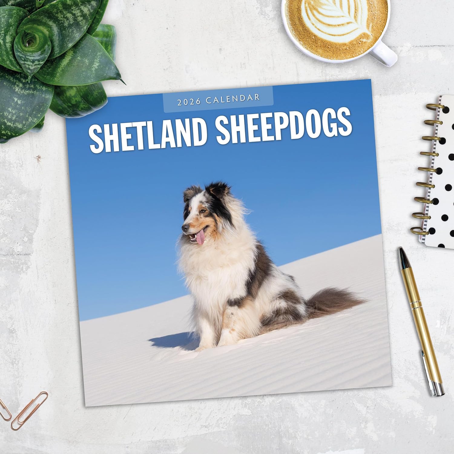 Red Robin 2026 Shetland Sheepdogs Monthly Wall Calendar | 12" x 24" Open | Premium Thick & Sturdy Paper | Hangable 12 Month Calendar | Lined Notes & To Do Area | Vivid Images | Plastic Free