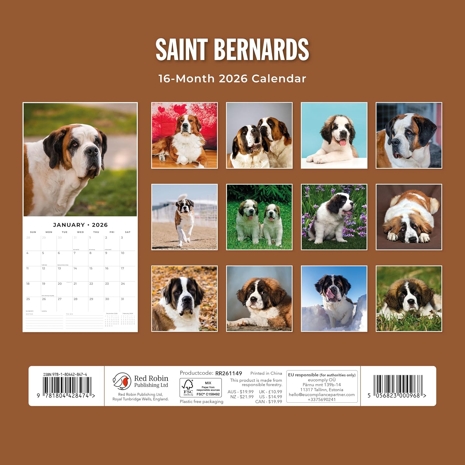 Red Robin 2026 Saint Bernards Monthly Wall Calendar | 12" x 24" Open | Premium Thick & Sturdy Paper | Hangable 12 Month Calendar | Lined Notes & To Do Area | Vivid Images | Plastic Free