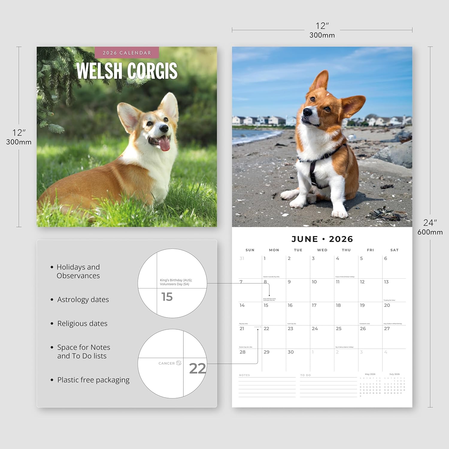 Red Robin 2026 Welsh Corgis Monthly Wall Calendar | 12" x 24" Open | Premium Thick & Sturdy Paper | Hangable 12 Month Calendar | Lined Notes & To Do Area | Vivid Images | Plastic Free
