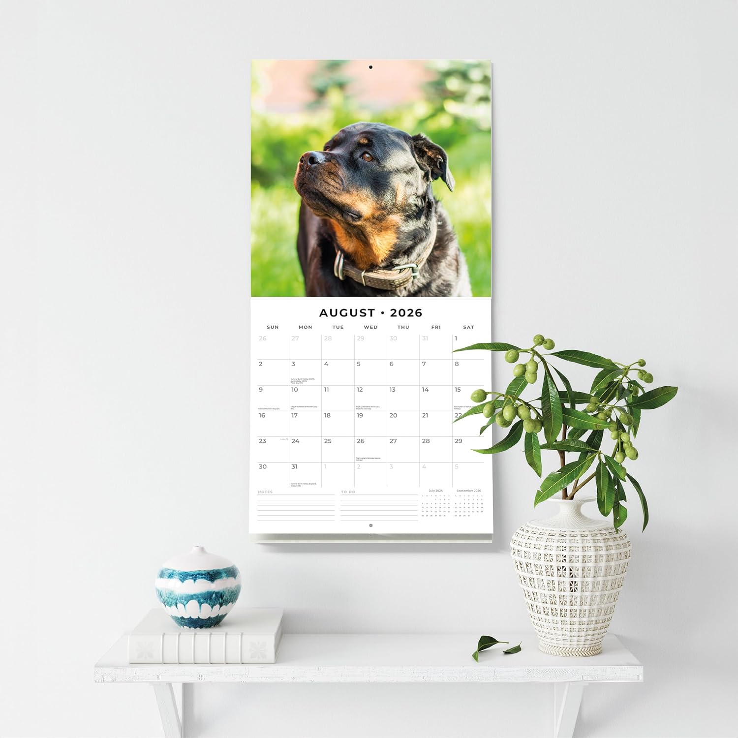 Red Robin 2026 Rottweilers Monthly Wall Calendar | 12" x 24" Open | Premium Thick & Sturdy Paper | Hangable 12 Month Calendar | Lined Notes & To Do Area | Vivid Images | Plastic Free