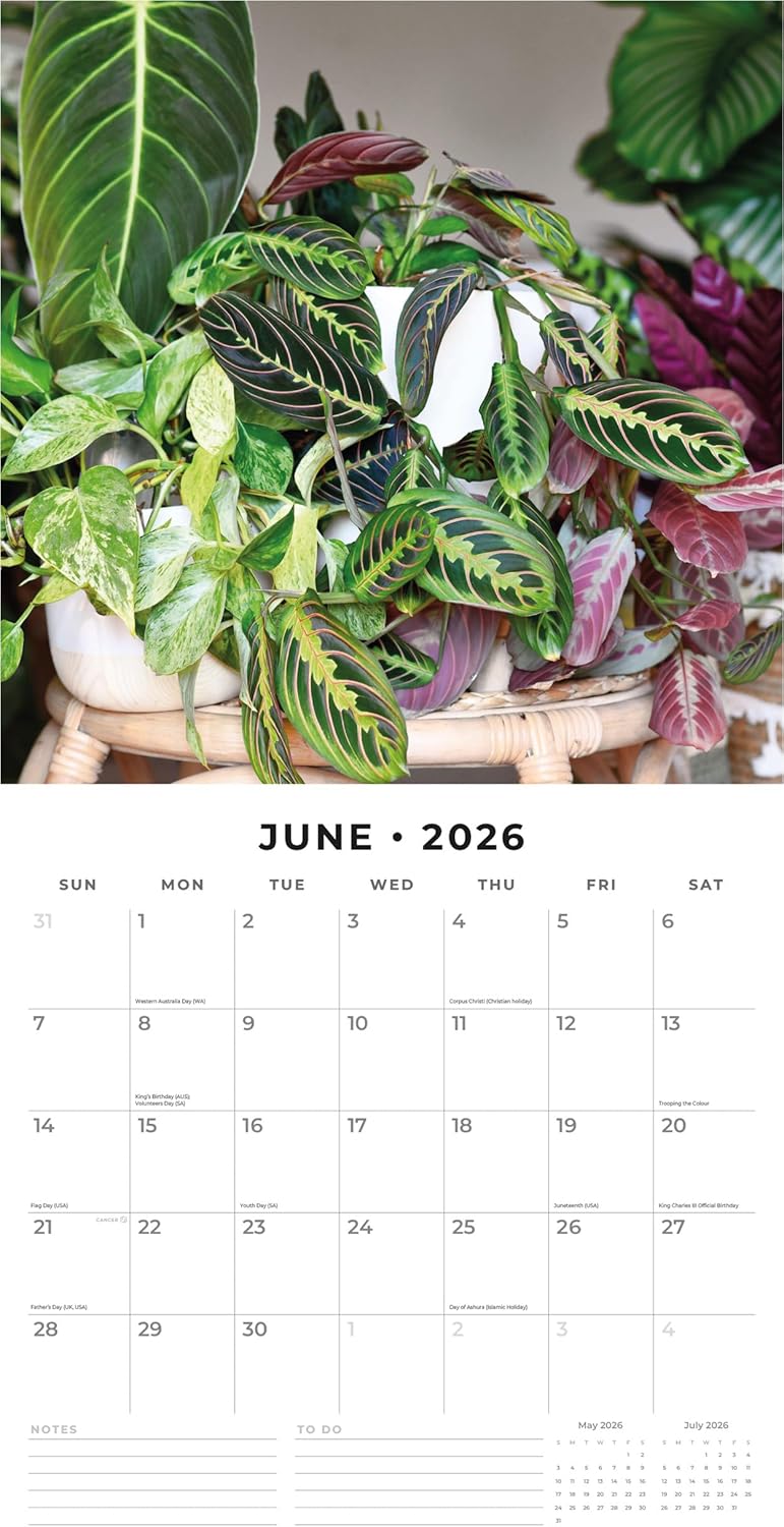 Red Robin 2026 House Plants Monthly Wall Calendar | 12" x 24" Open | Premium Thick & Sturdy Paper | Hangable 12 Month Calendar | Lined Notes & To Do Area | Vivid Images | Plastic Free