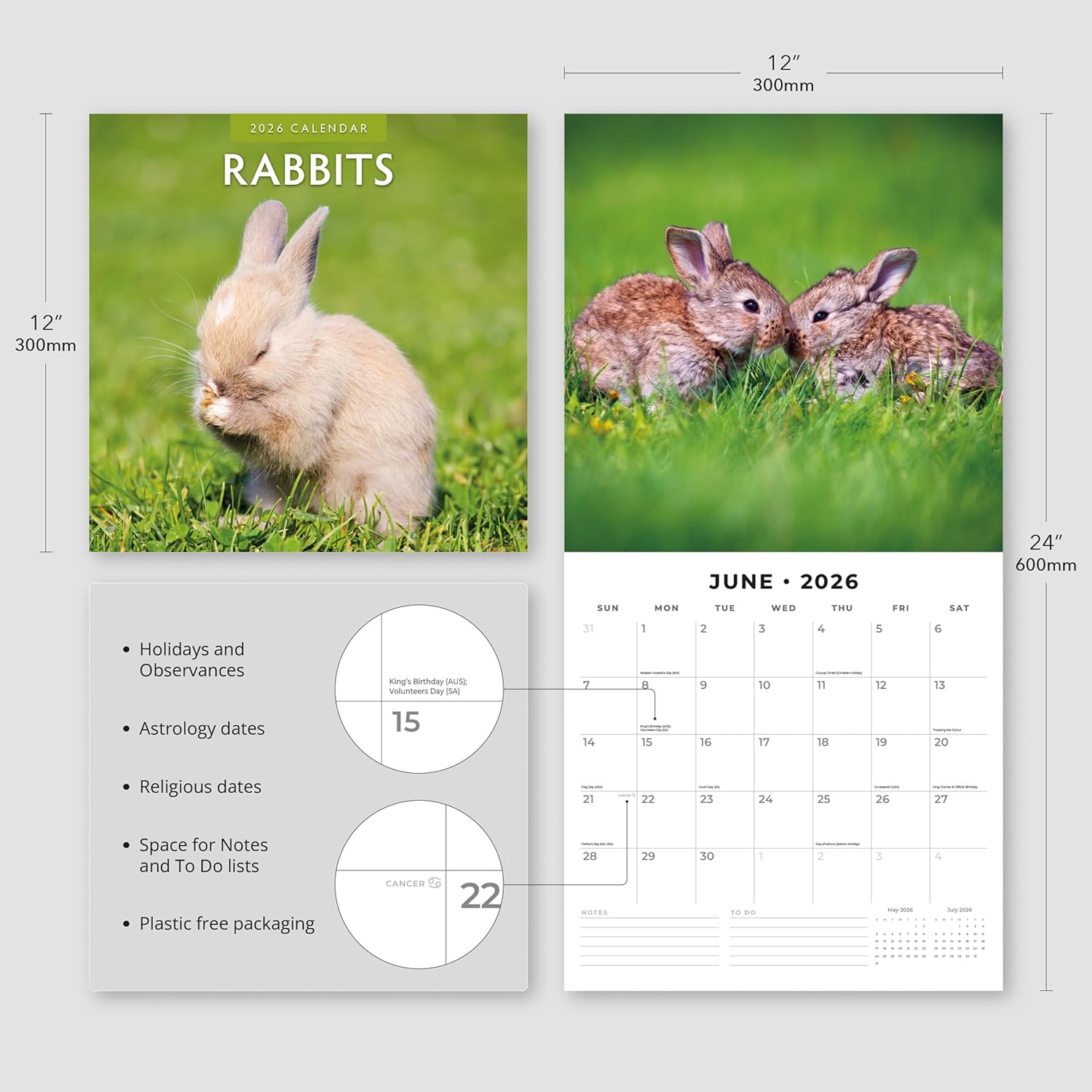 Red Robin 2026 Rabbits Monthly Wall Calendar | 12" x 24" Open | Premium Thick & Sturdy Paper | Hangable 12 Month Calendar | Lined Notes & To Do Area | Vivid Images | Plastic Free