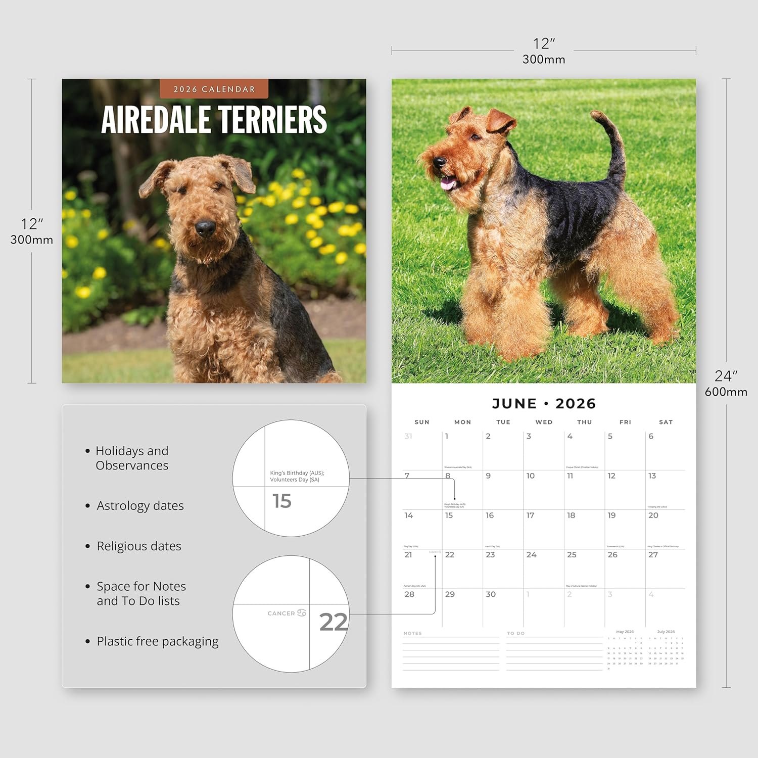 Red Robin 2026 Airedale Terriers Monthly Wall Calendar | 12" x 24" Open | Premium Thick & Sturdy Paper | Hangable 12 Month Calendar | Lined Notes & To Do Area | Vivid Images | Plastic Free